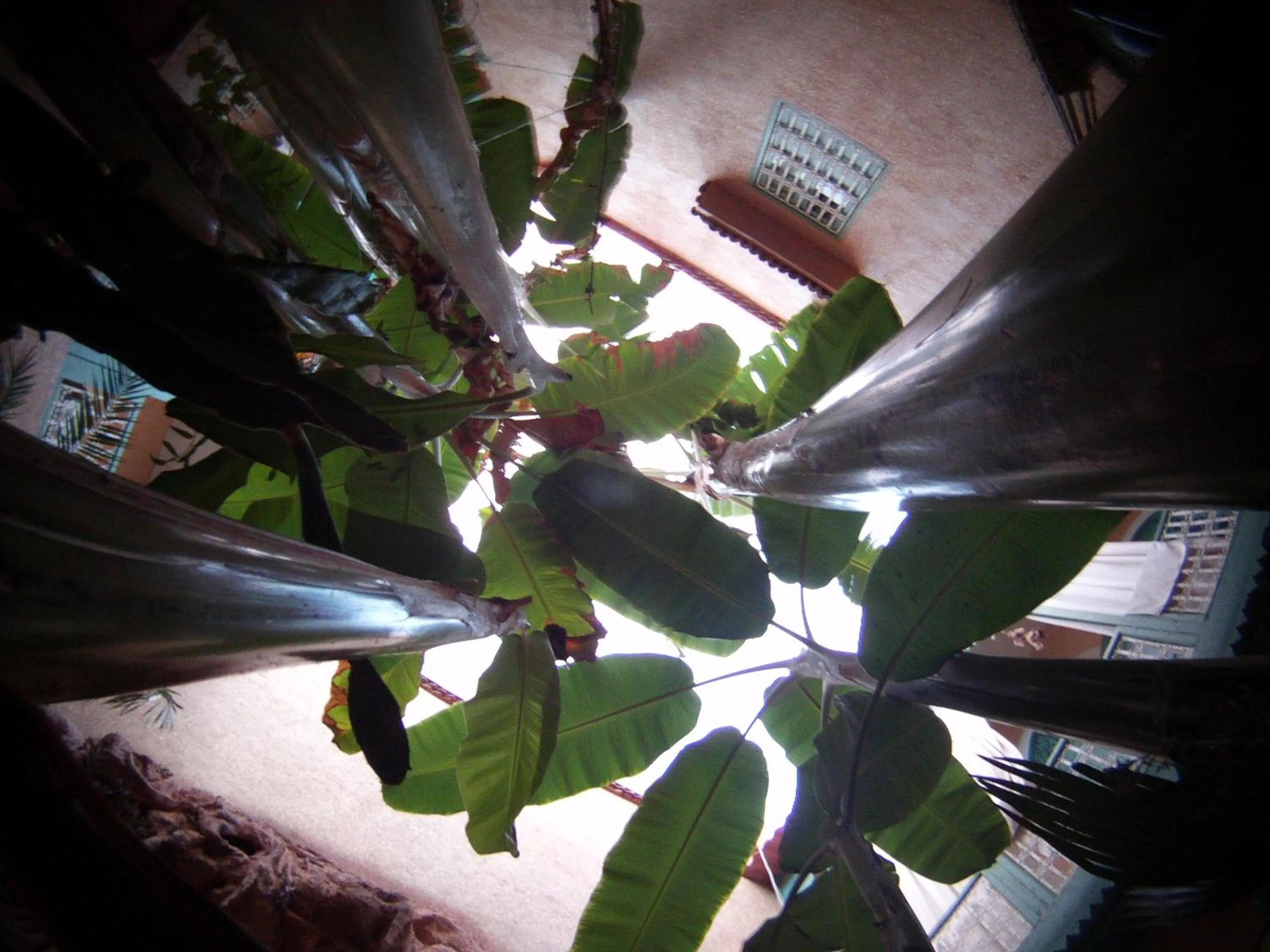Other in Riad Dar Mchicha