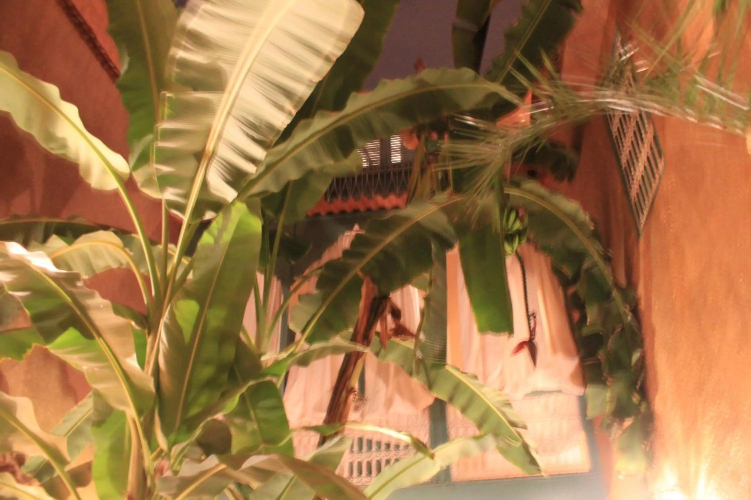 Night in Riad Dar Mchicha