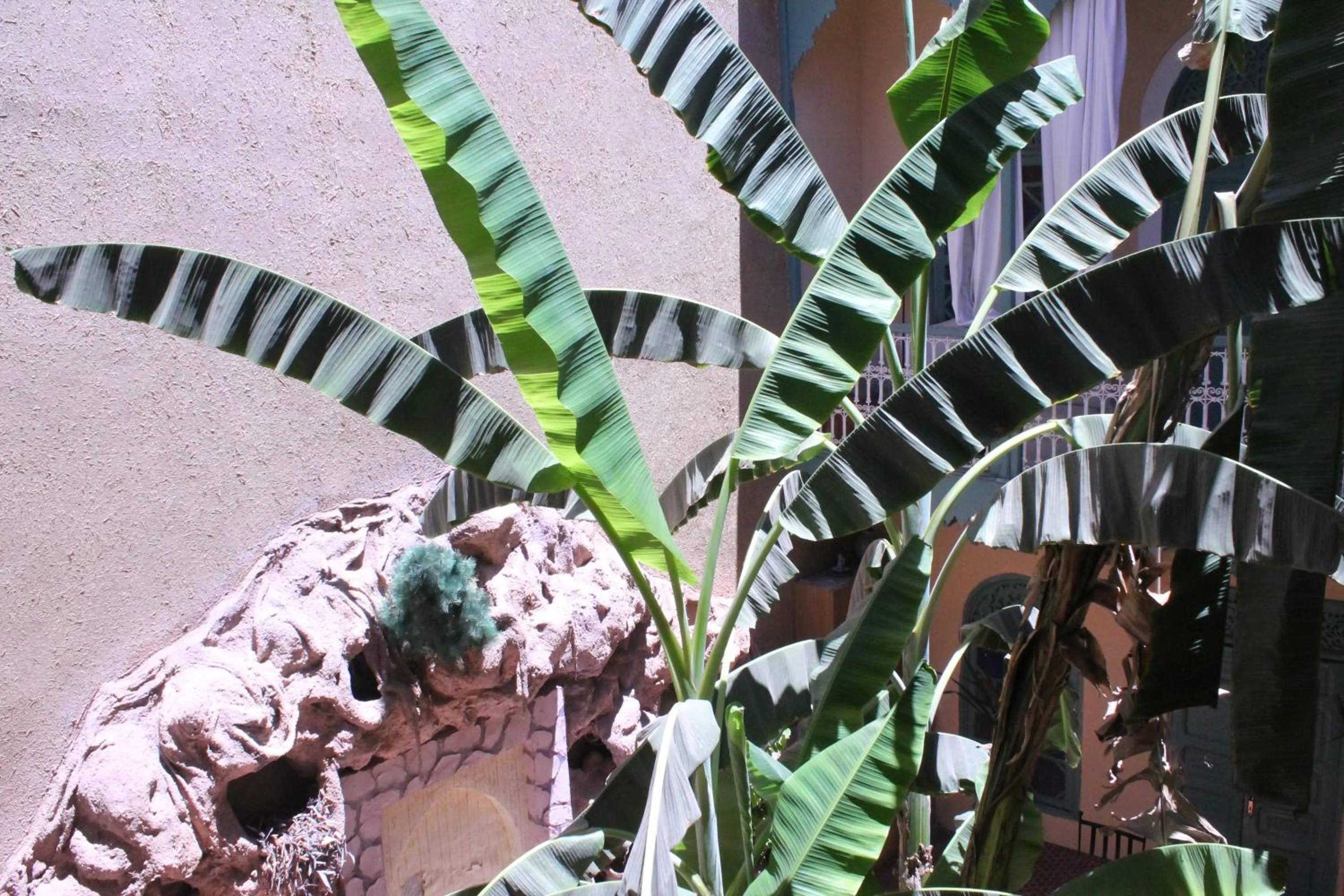 Day in Riad Dar Mchicha