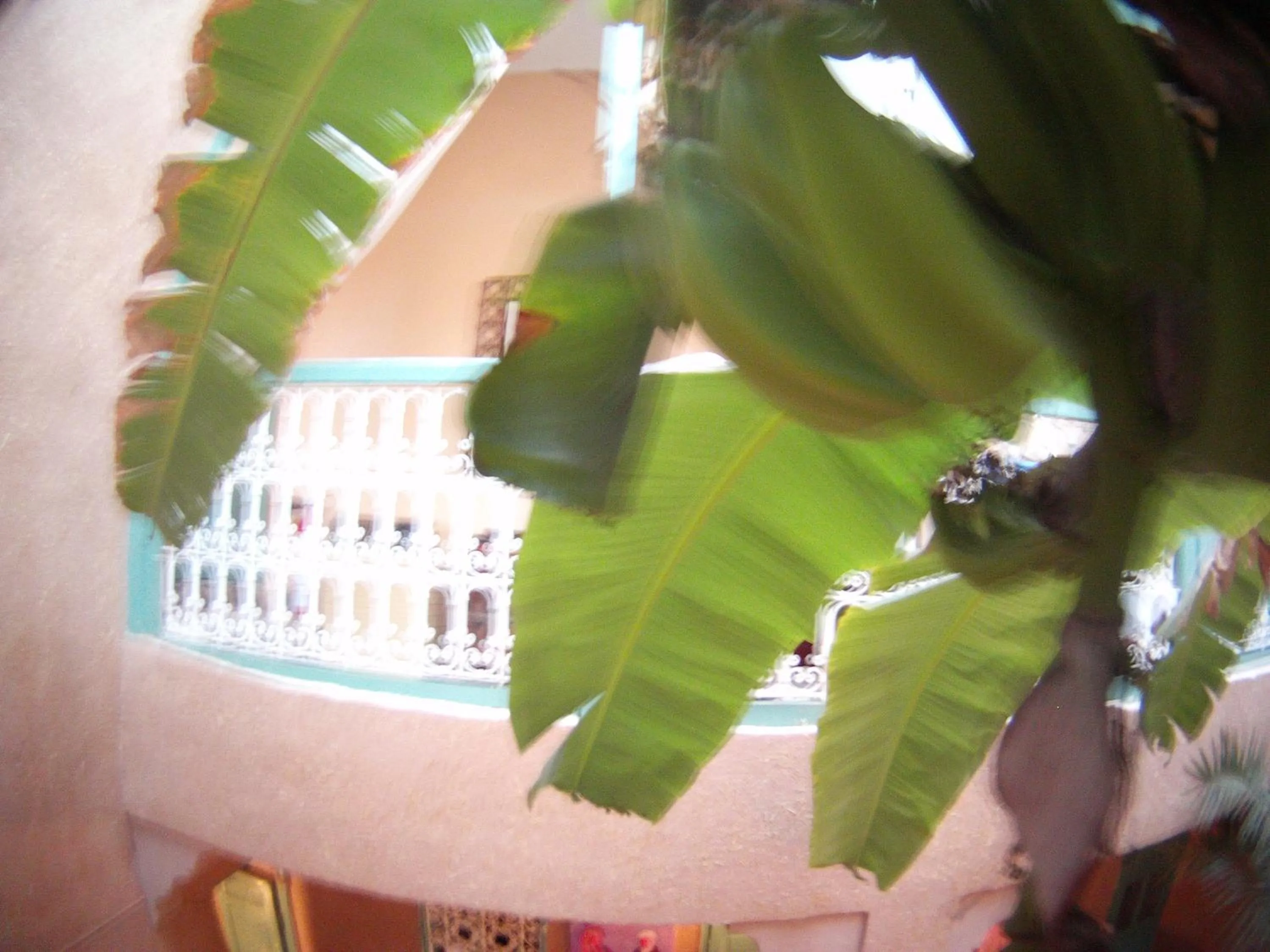 Other in Riad Dar Mchicha
