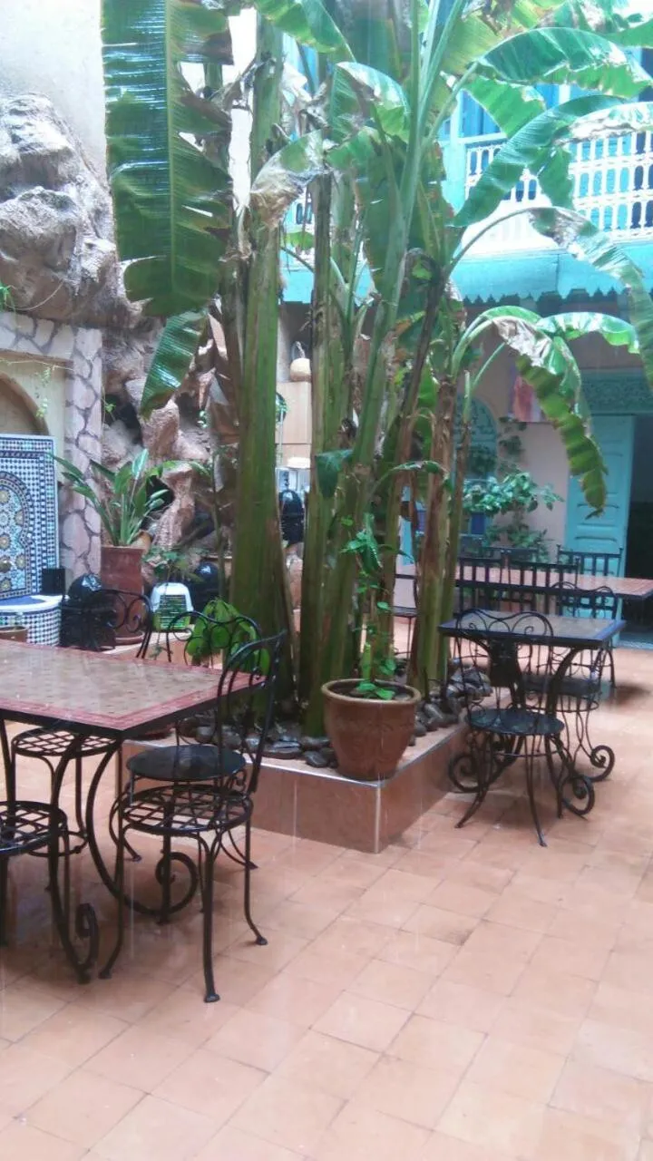 Garden view in Riad Dar Mchicha
