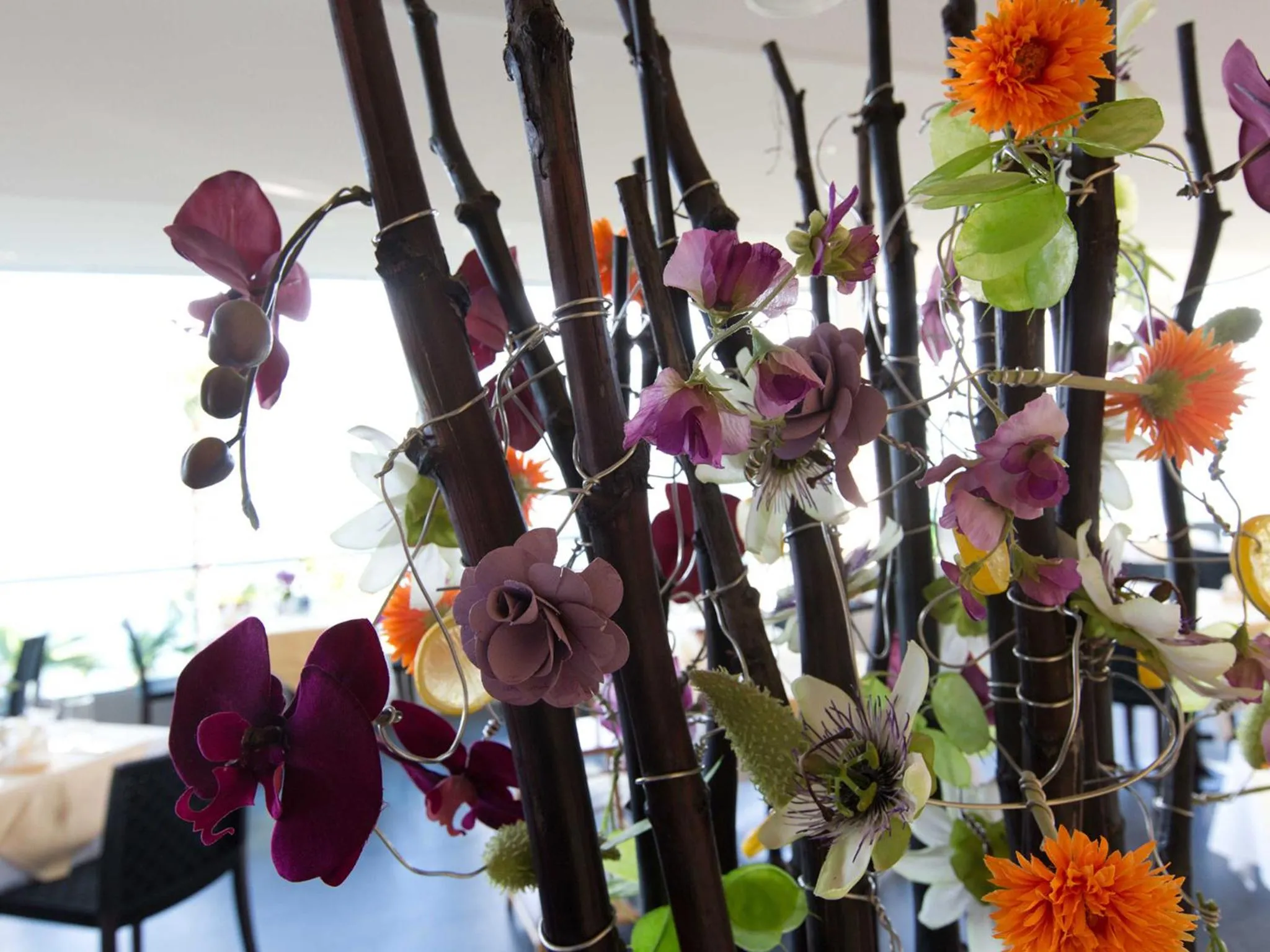 Day in Hotel Stella SA