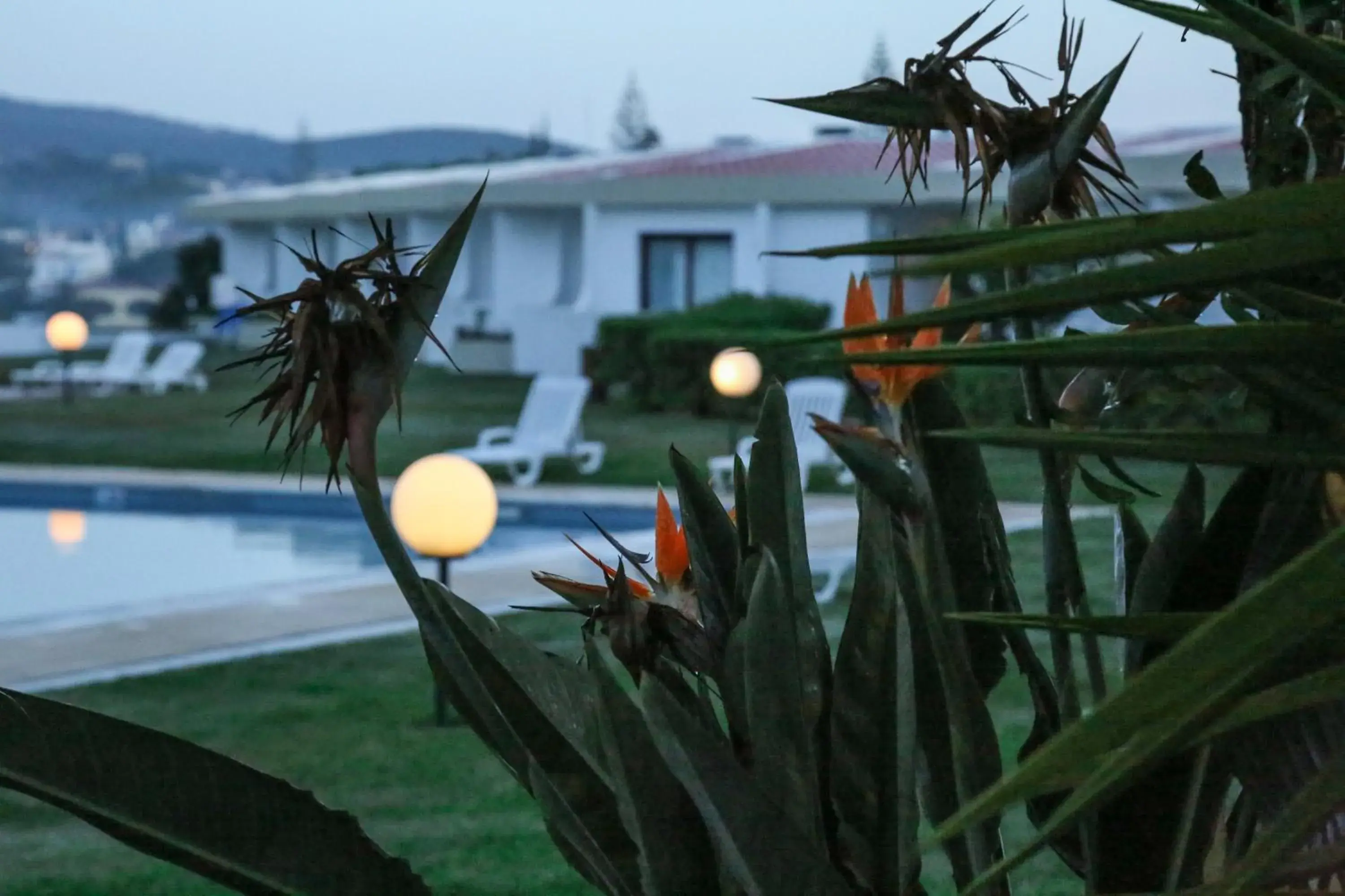 Garden view in Hotel Apartamento Do Golfe Garden view in Hotel Apartamento Do Golfe