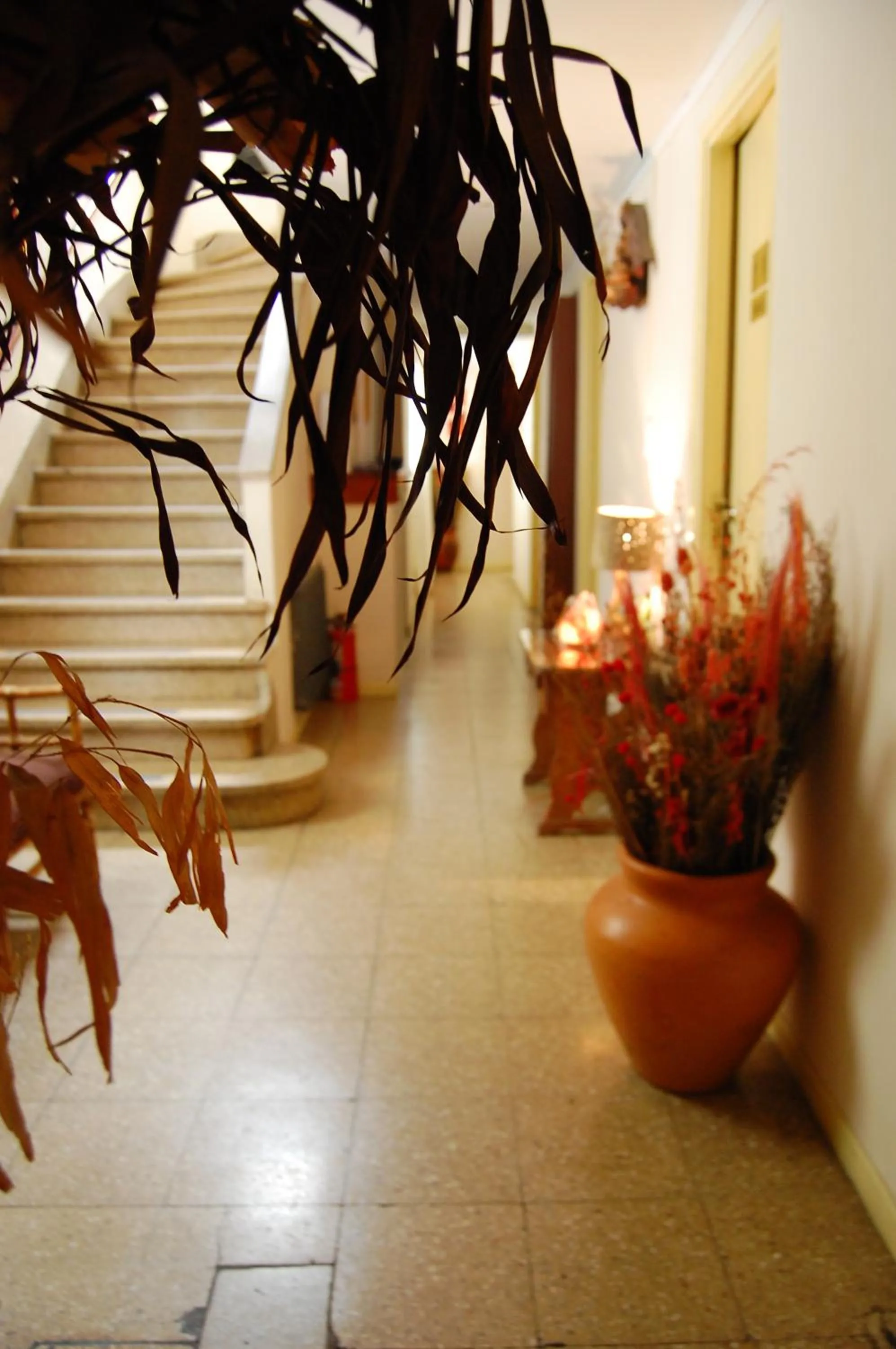 Hotel del Paseo