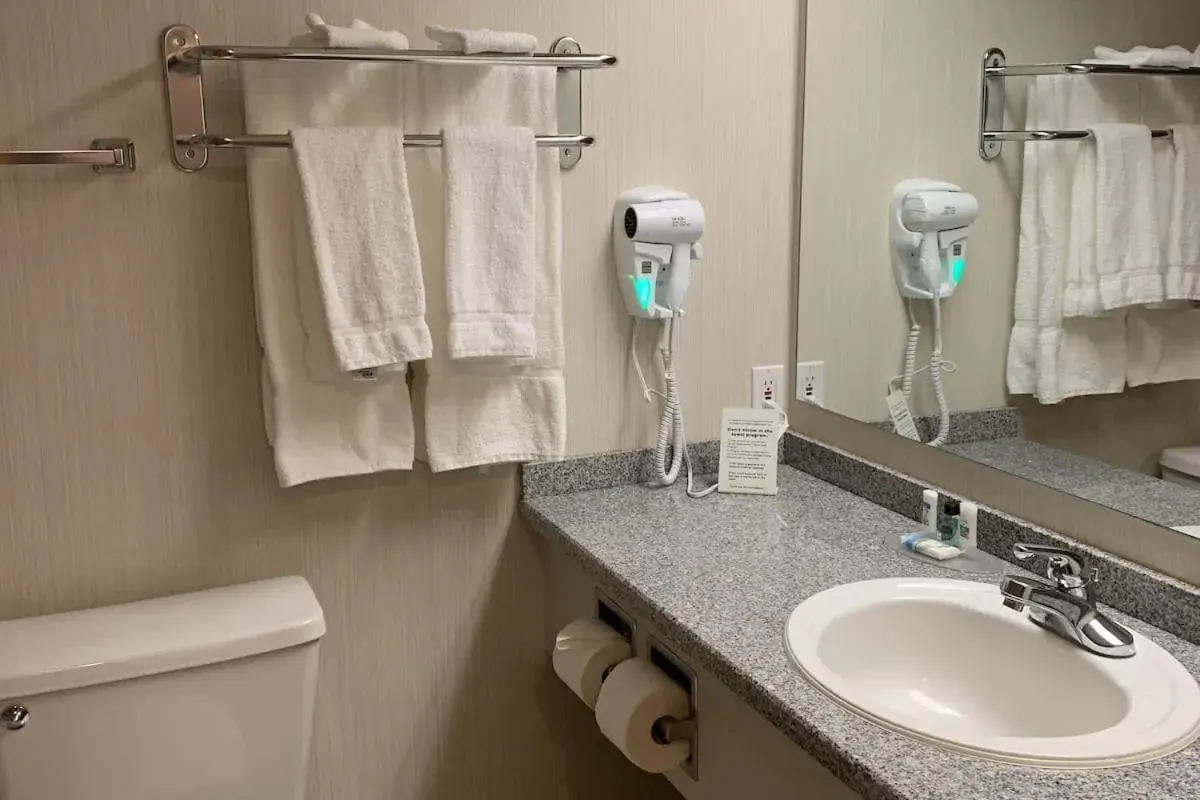 Executive King Room (Non-Pet Friendly) - single occupancy in Woodlands Inn & Suites Executive King Room (Non-Pet Friendly) - single occupancy in Woodlands Inn & Suites