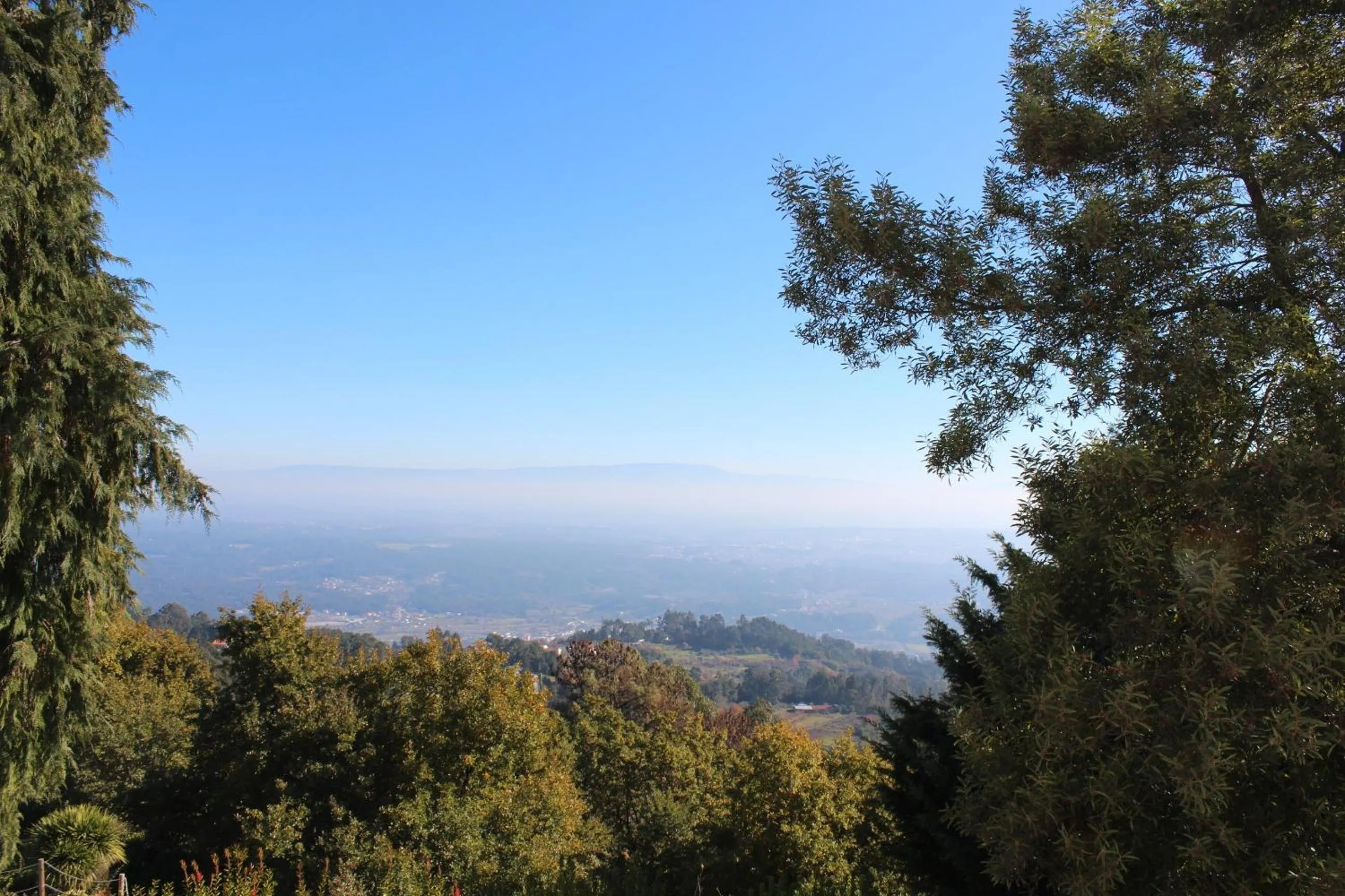 View (from property/room) in Golden Tulip Caramulo