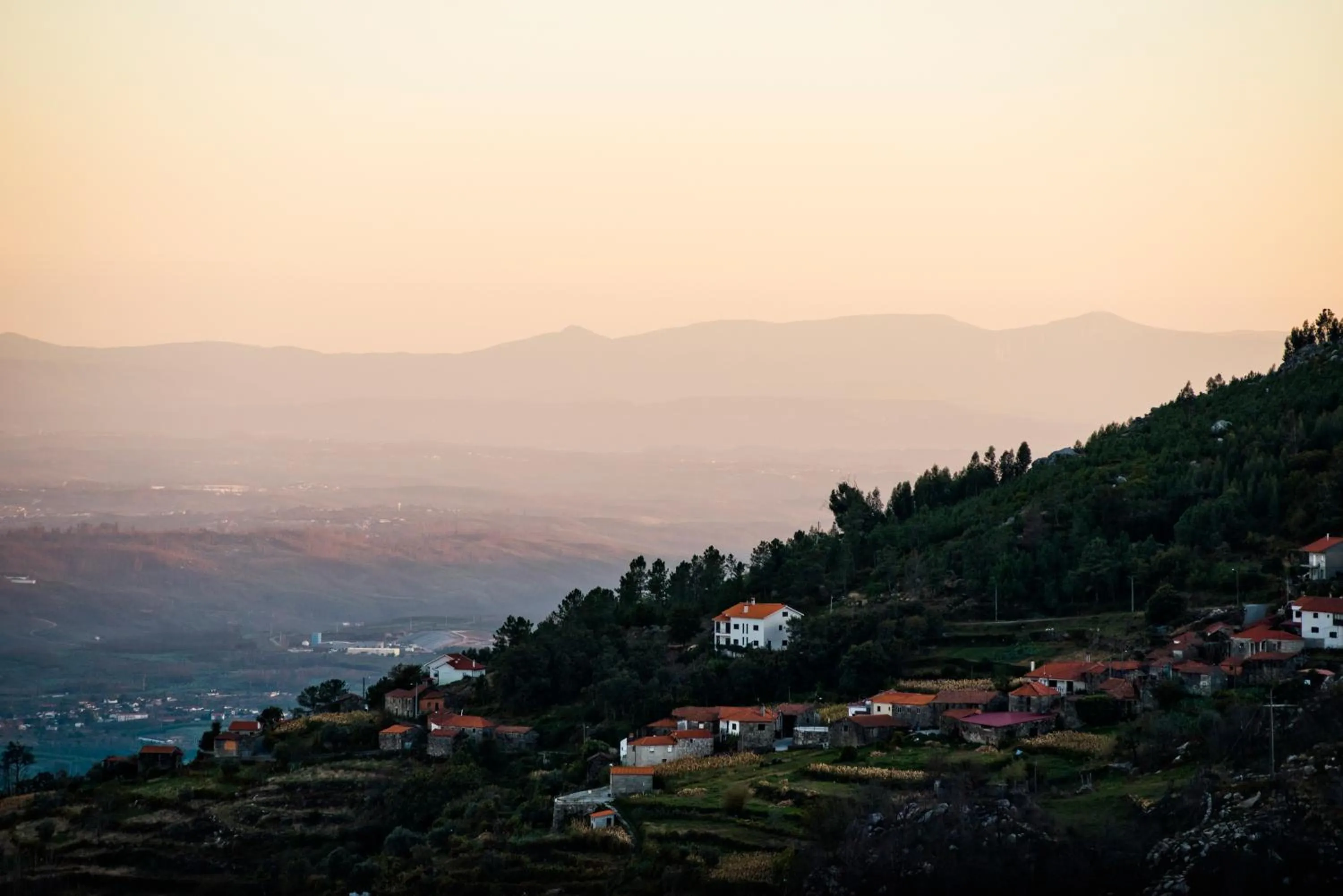 Natural landscape in Golden Tulip Caramulo