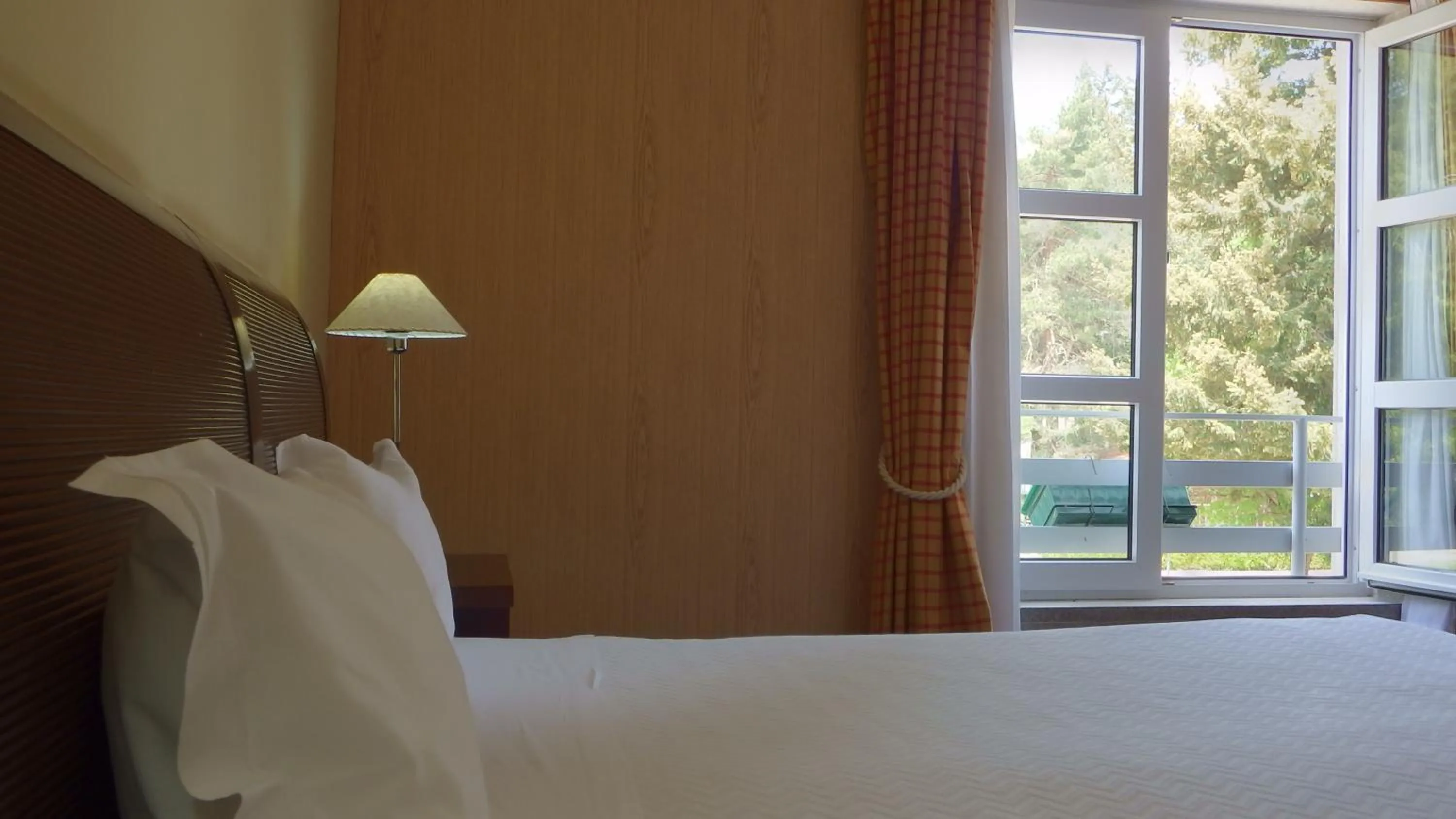 Standard Single Room with Caramulo View in Golden Tulip Caramulo