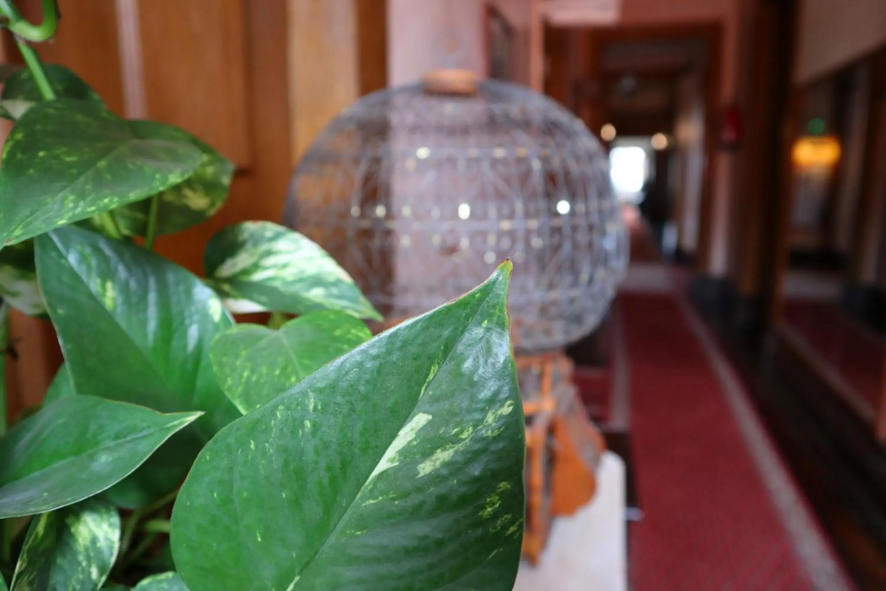 Property building in Alegre - Bussaco Boutique Hotel Property building in Alegre - Bussaco Boutique Hotel