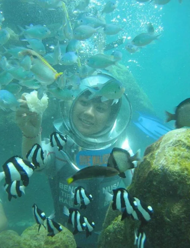 Snorkeling in Tanjung Sari Inn