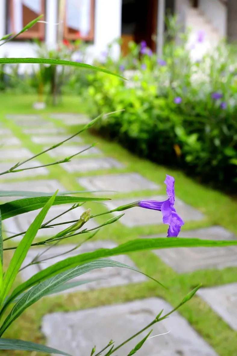 Day in Tanjung Sari Inn