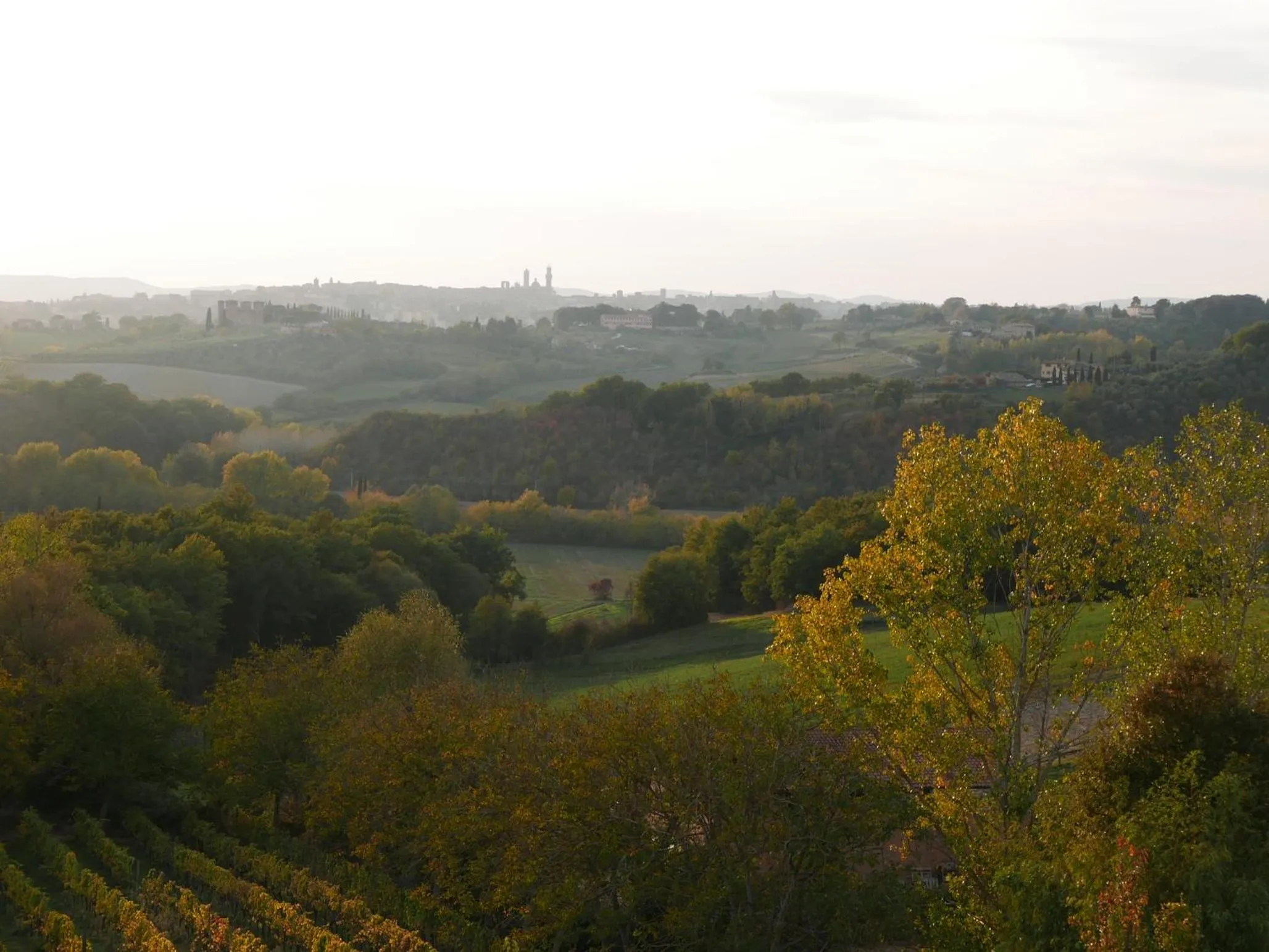 View (from property/room) in Ca' Bianca Tuscany Relais