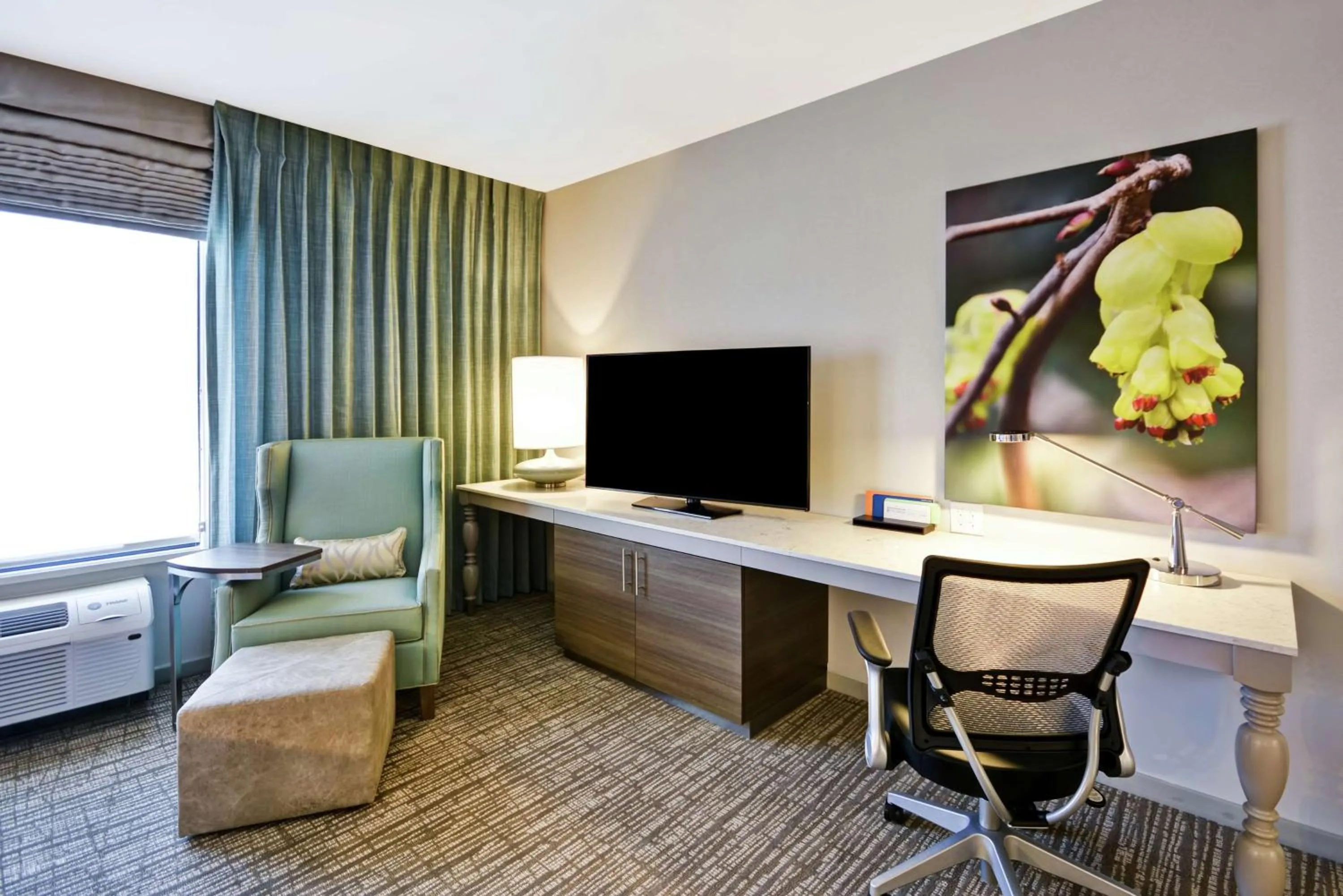 TV and multimedia in Hilton Garden Inn Gastonia