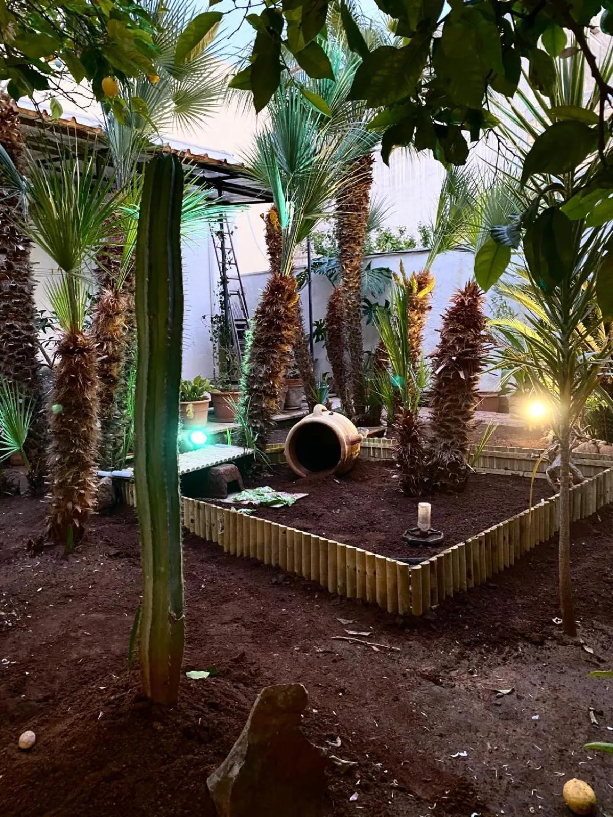 Garden in B&B Le Tartarughe