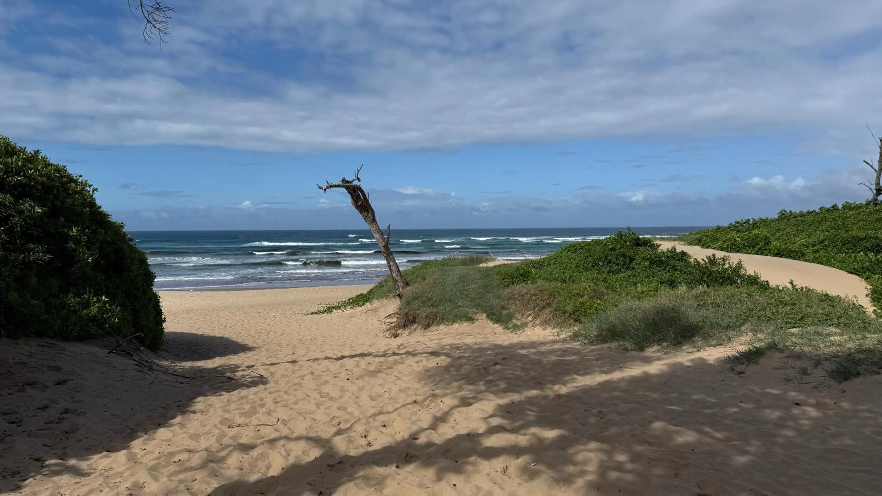 Izulu Eco Lodge