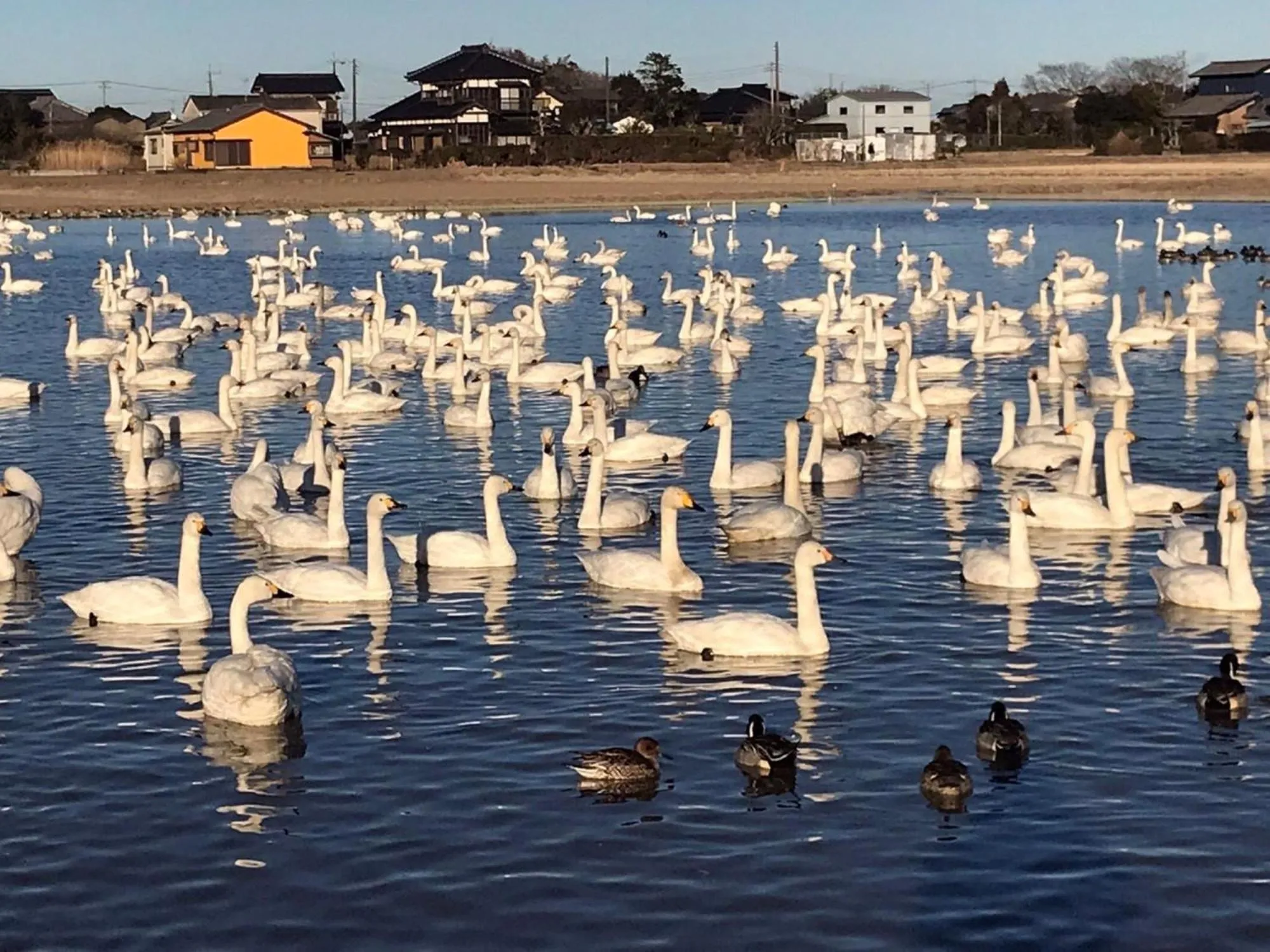 Nearby landmark in Vessel Inn Yachiyo Katsudai Station