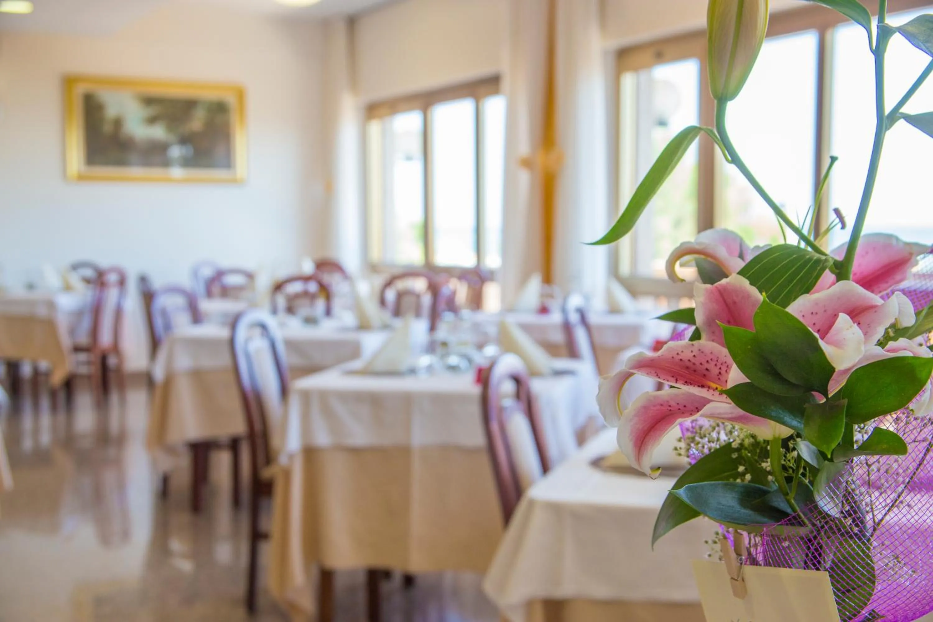 Restaurant/places to eat in Hotel Touring