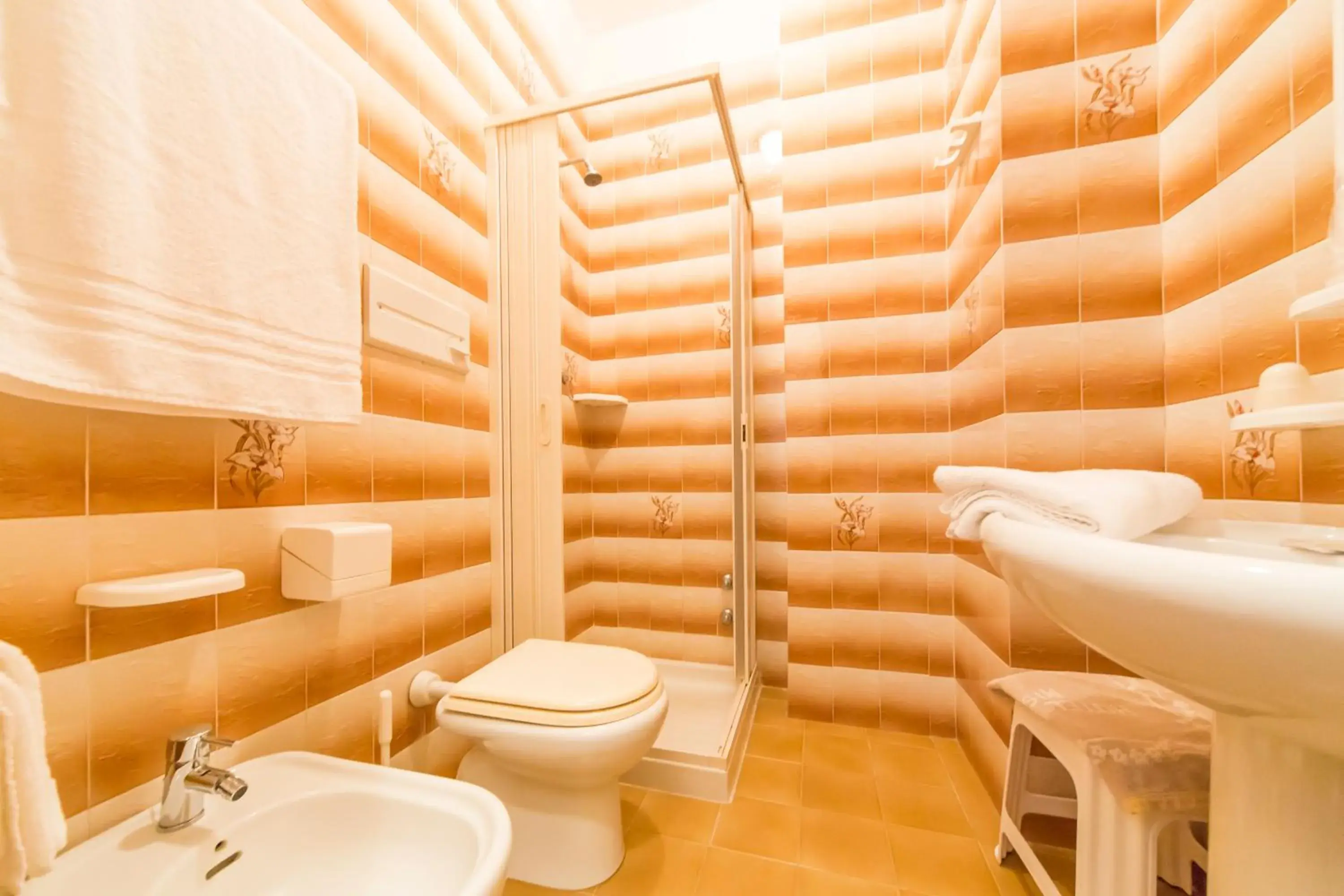 Single Room in Hotel Touring Single Room in Hotel Touring