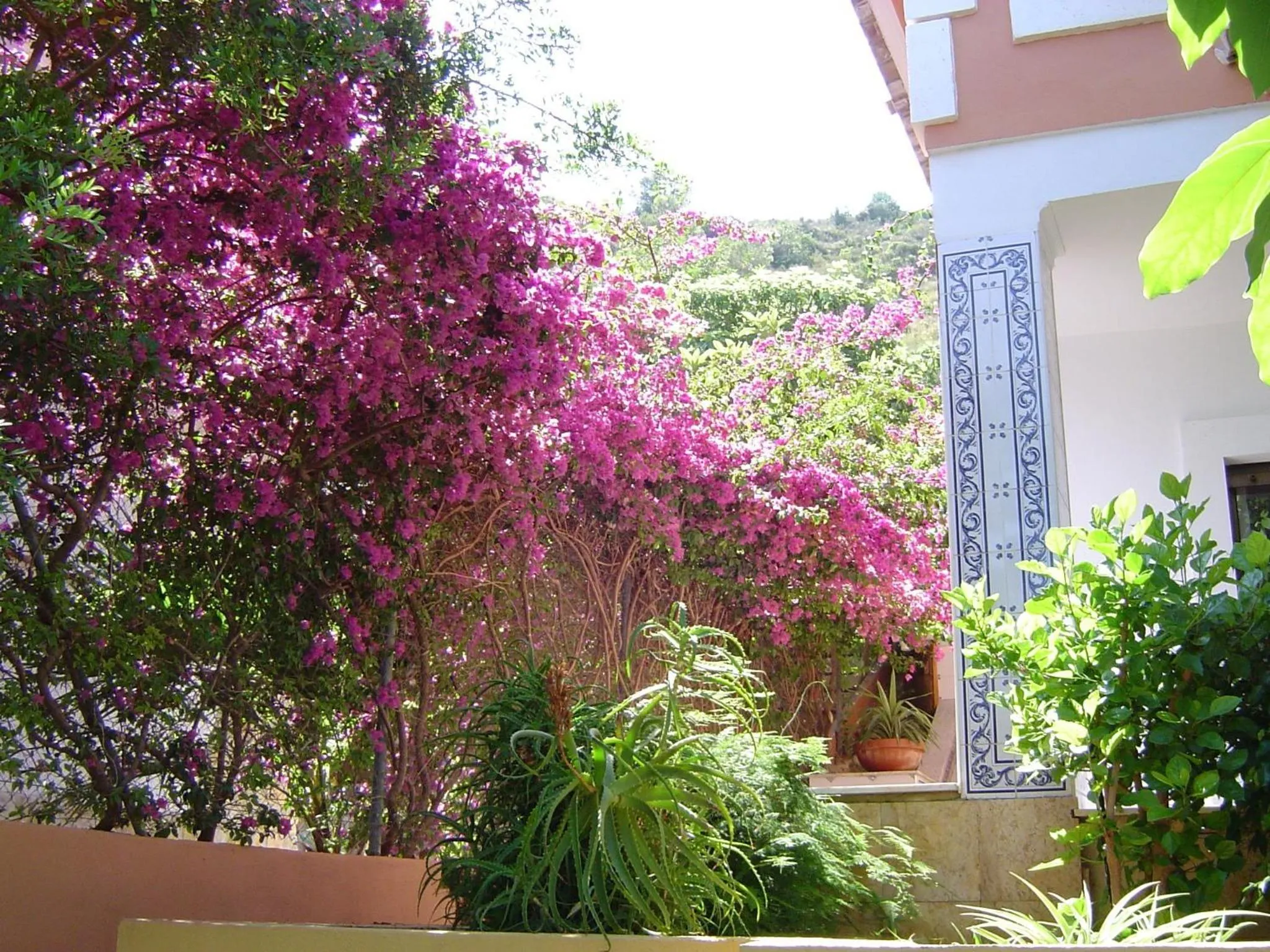Facade/entrance in Casa Rural La Torreta
