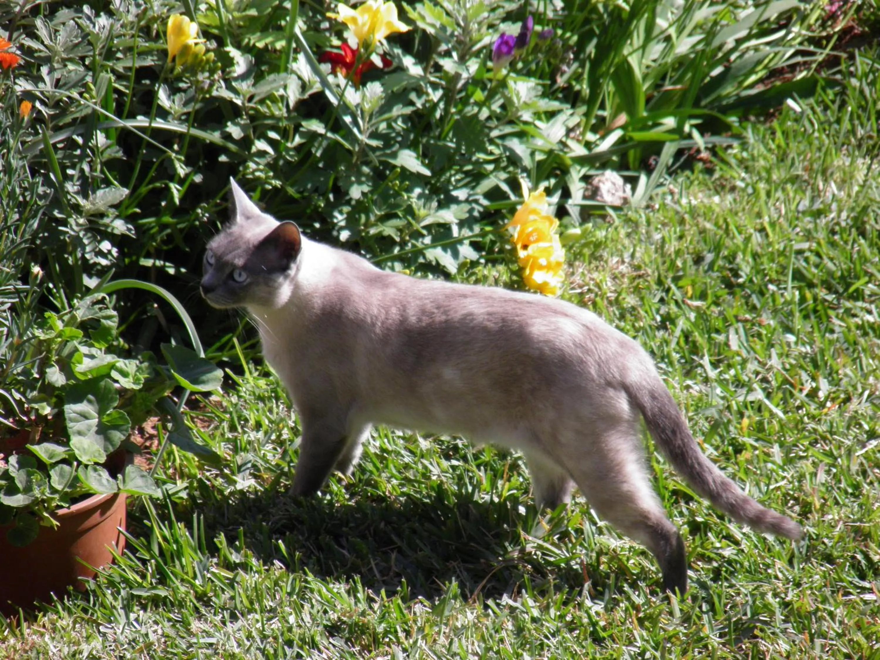 Garden in Casa Rural La Torreta
