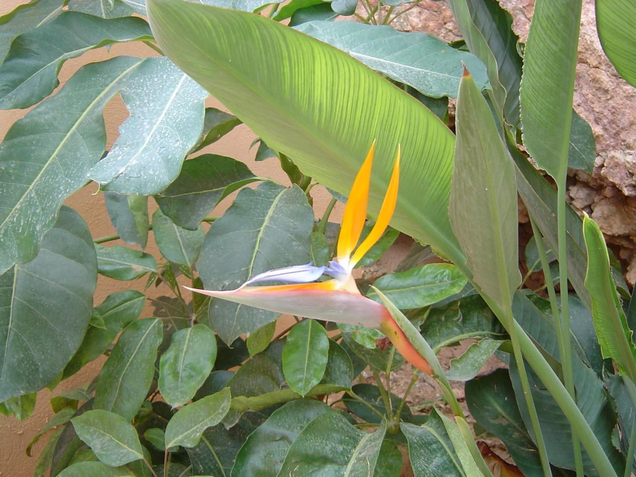 Patio in Casa Rural La Torreta