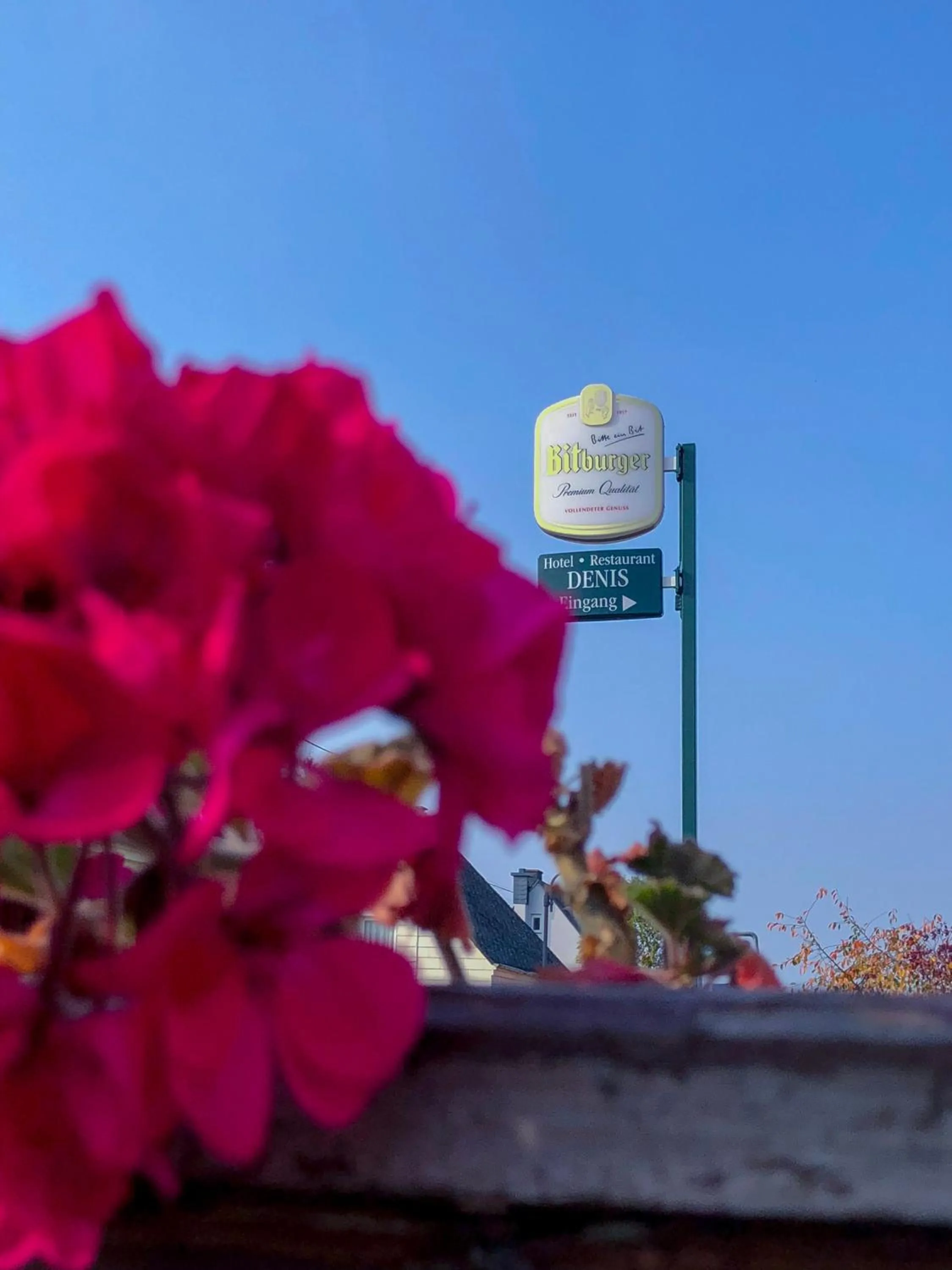 Hotel Restaurant Denis