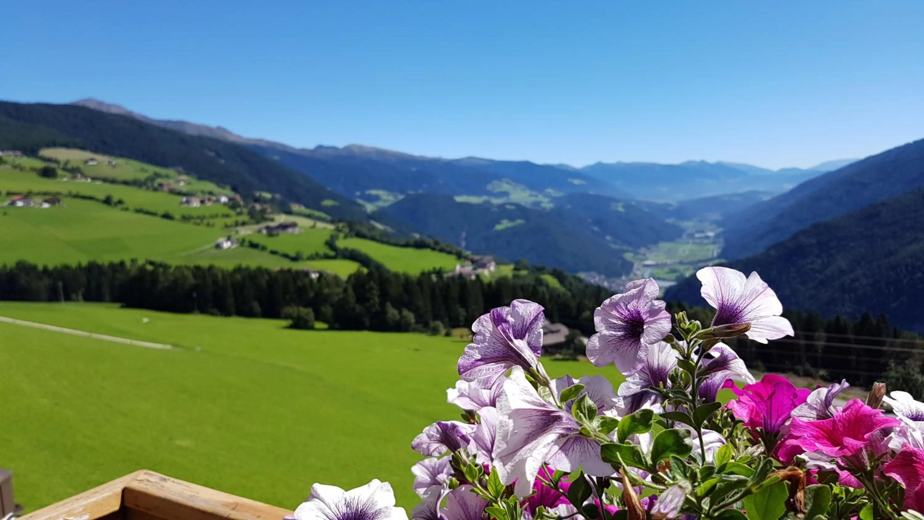 Natural landscape in Pension Sonnenhof