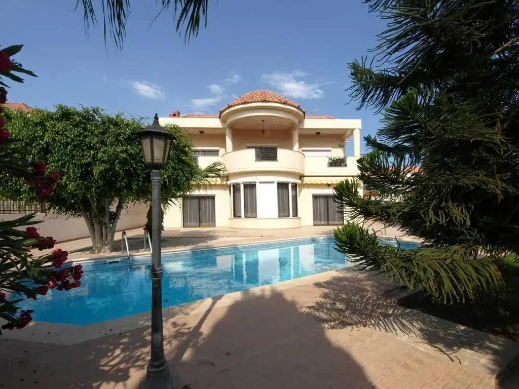 Patatas Villa Patatas Villa