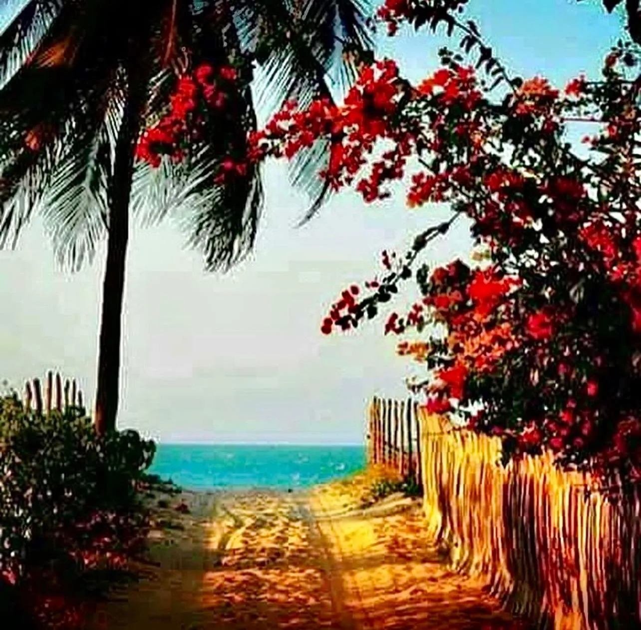 Beach in Aloha Village Bangalôs