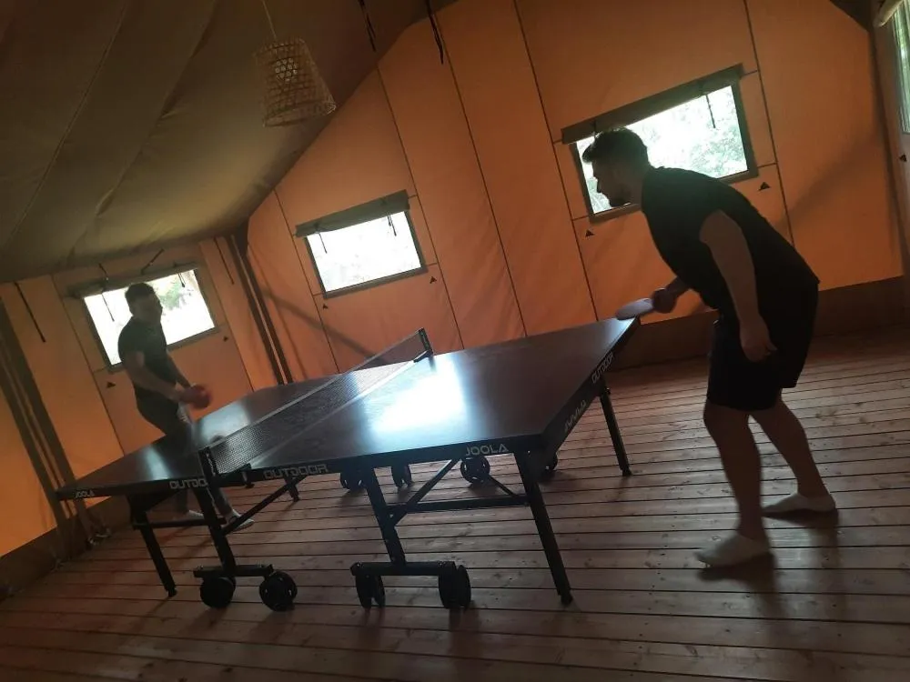 Table tennis in Domaine La Sauzette