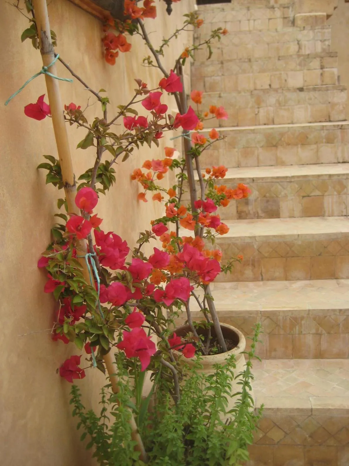 Decorative detail in Dar Houdou