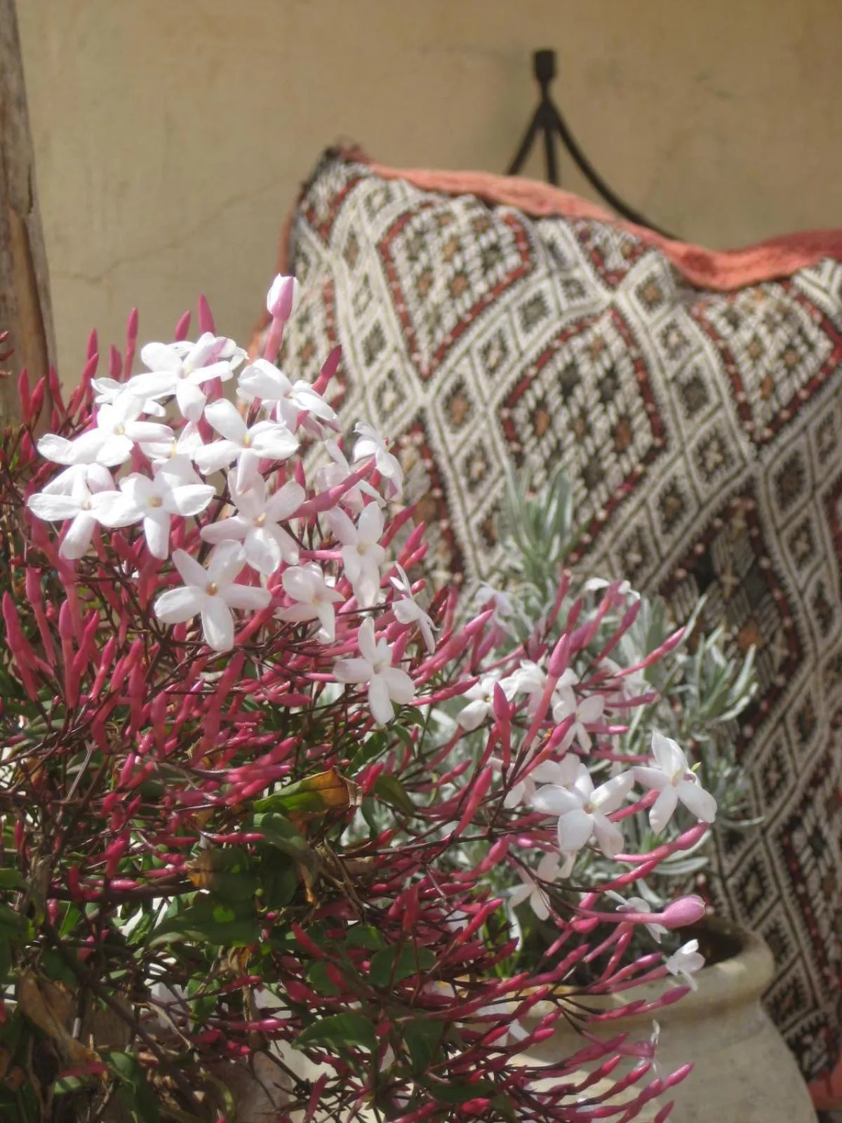 Decorative detail in Dar Houdou