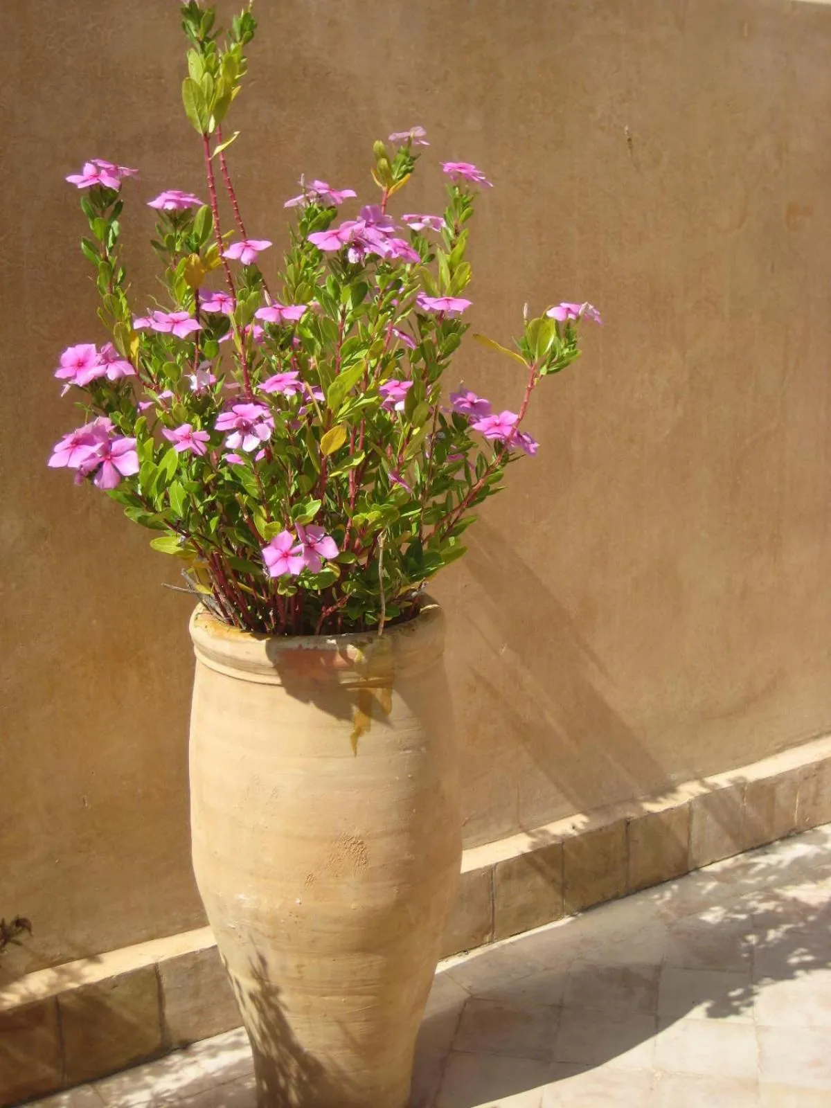 Decorative detail in Dar Houdou
