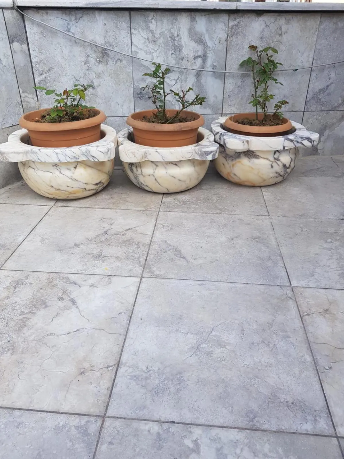 Balcony/Terrace in Seahouse Suites