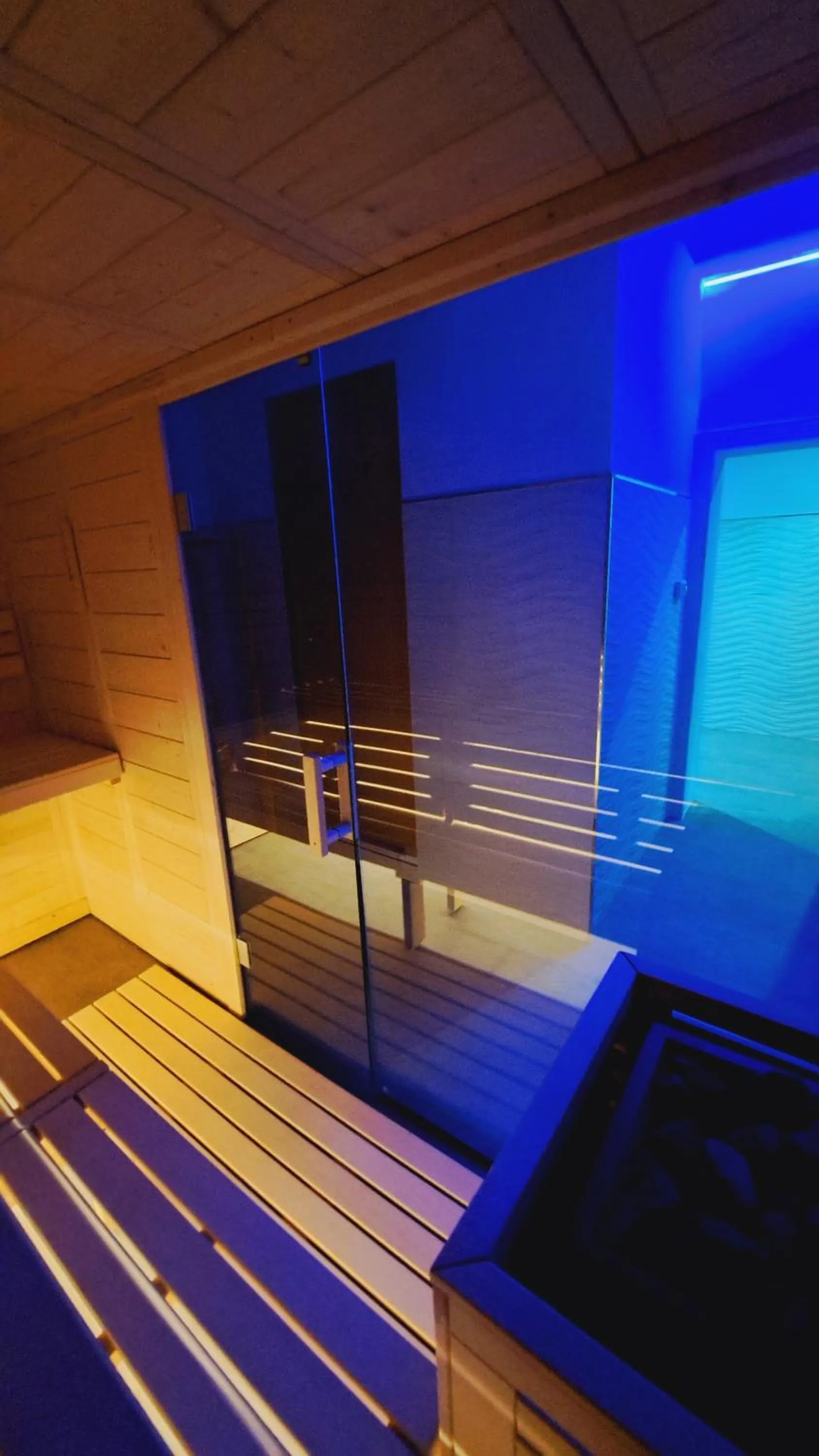 Sauna in Hotel Butterfly Wellness & Spa
