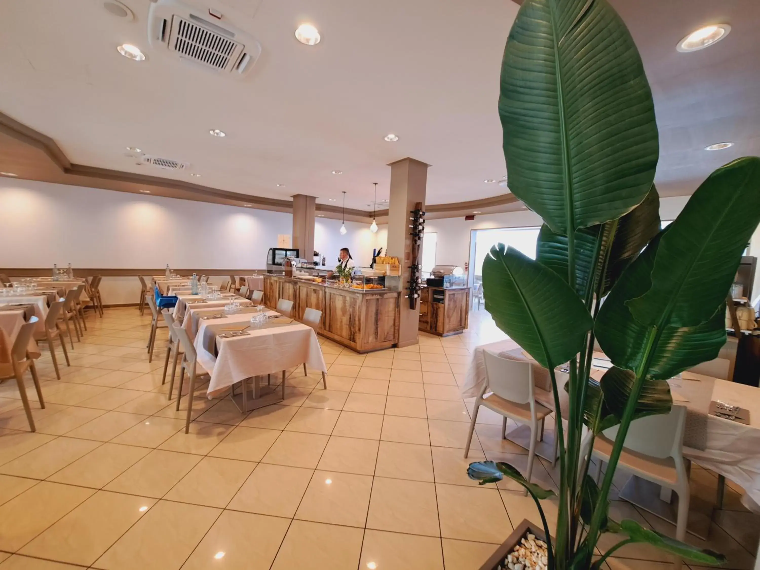 Restaurant/Places to Eat in Hotel Butterfly