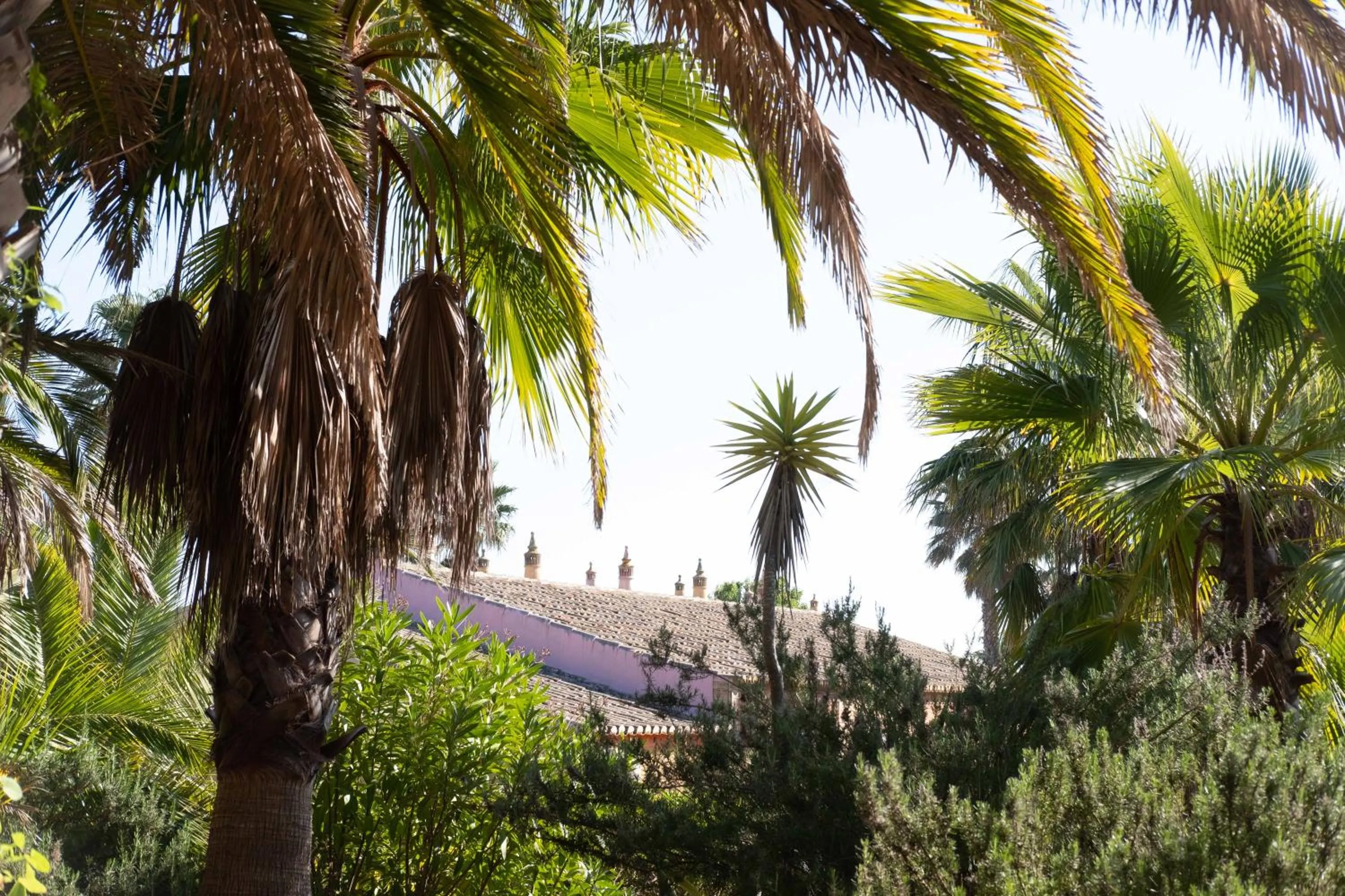 Garden in Quinta do Mar - Country & Sea Village