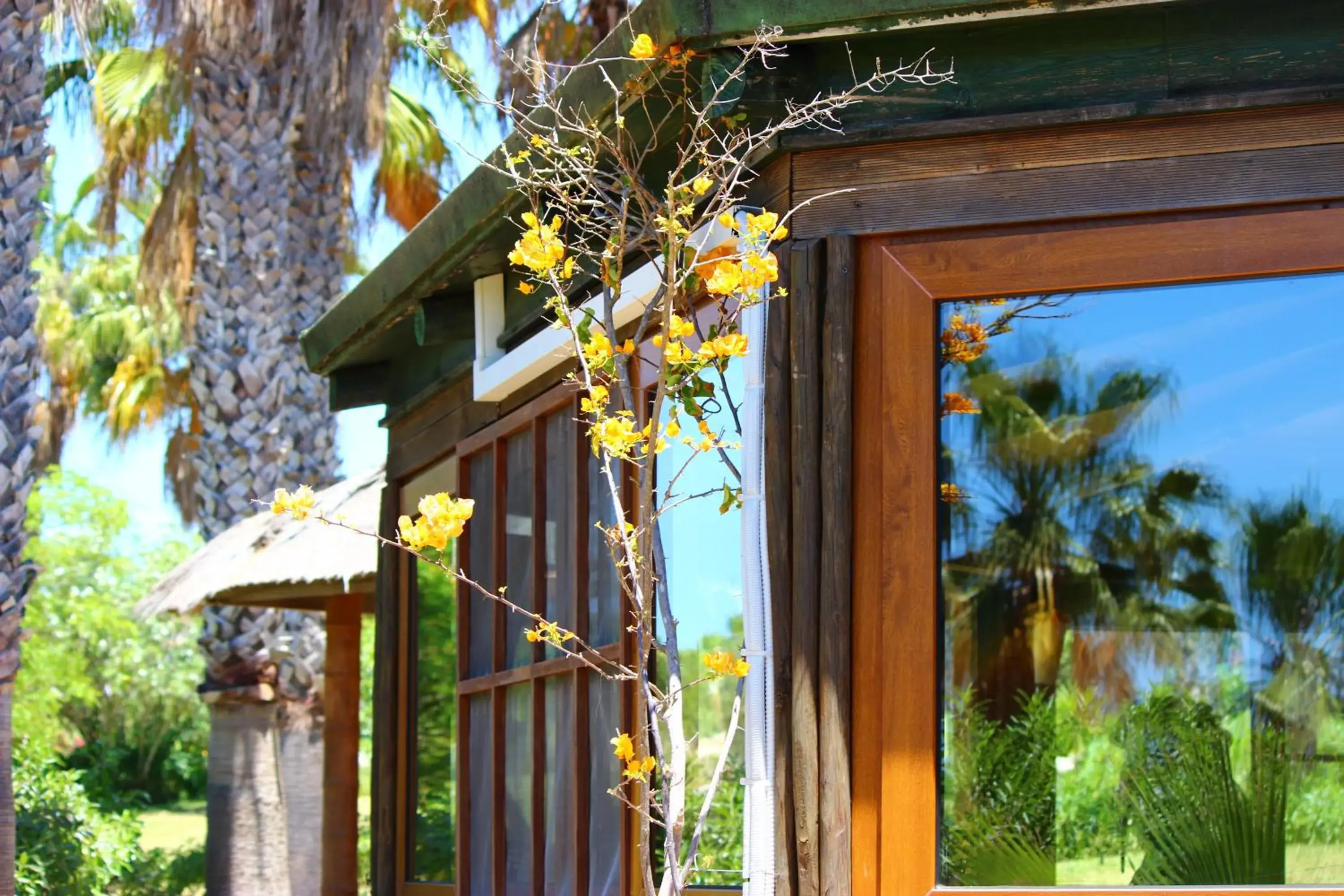 Facade/entrance in Quinta do Mar - Country & Sea Village Facade/entrance in Quinta do Mar - Country & Sea Village