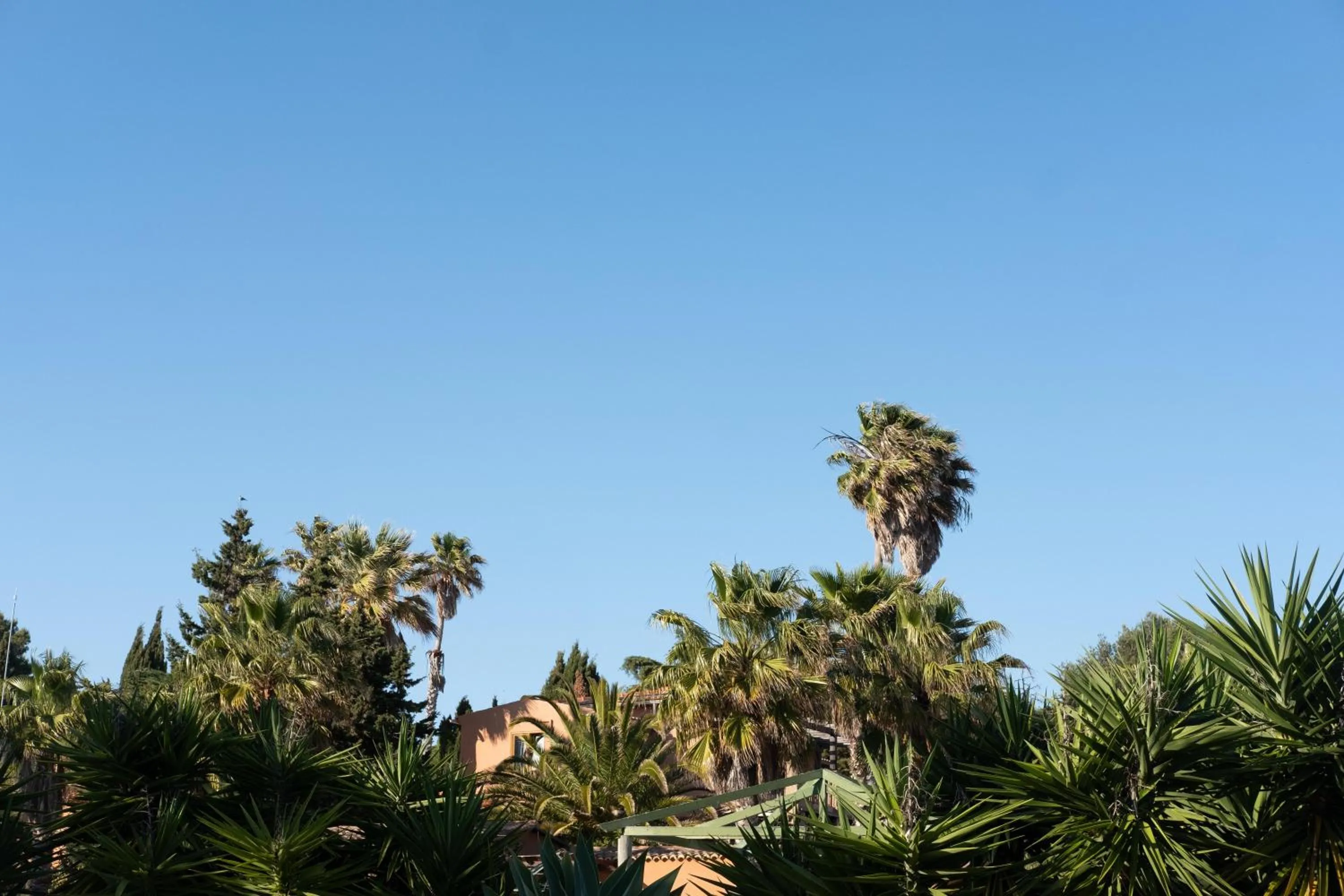 Natural landscape in Quinta do Mar - Country & Sea Village