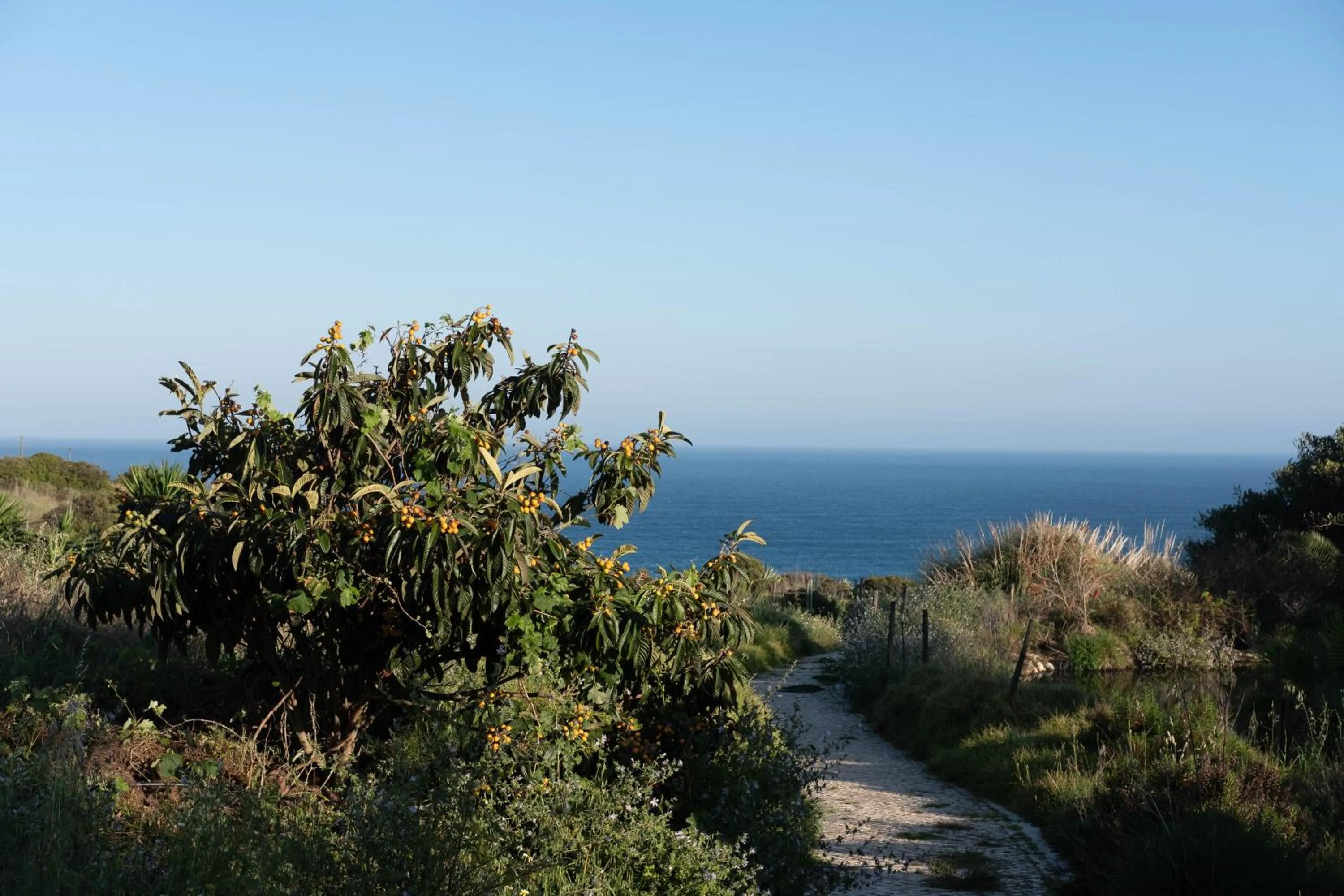 Natural landscape in Quinta do Mar - Country & Sea Village