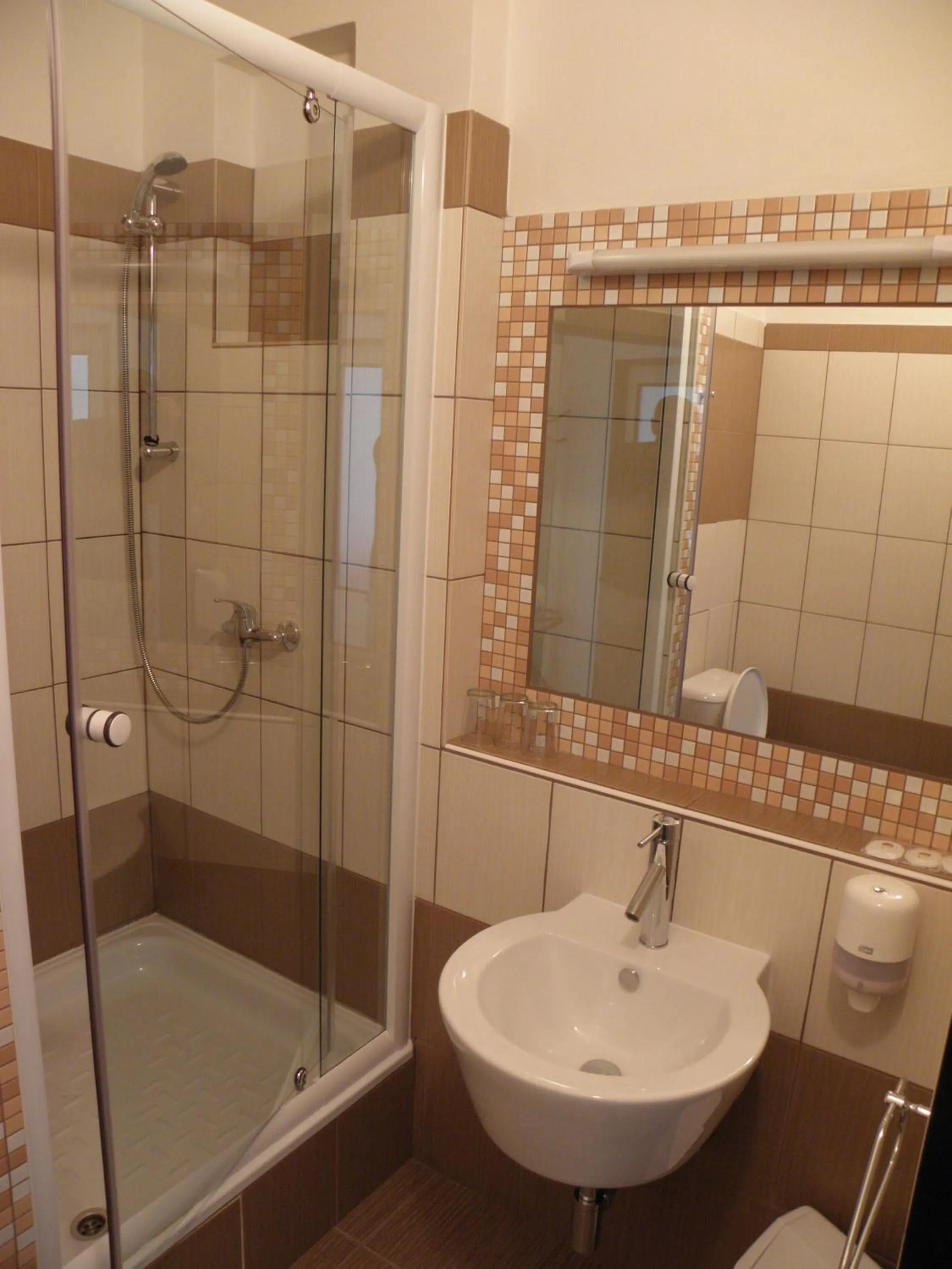 Bathroom in Hotel Milotel