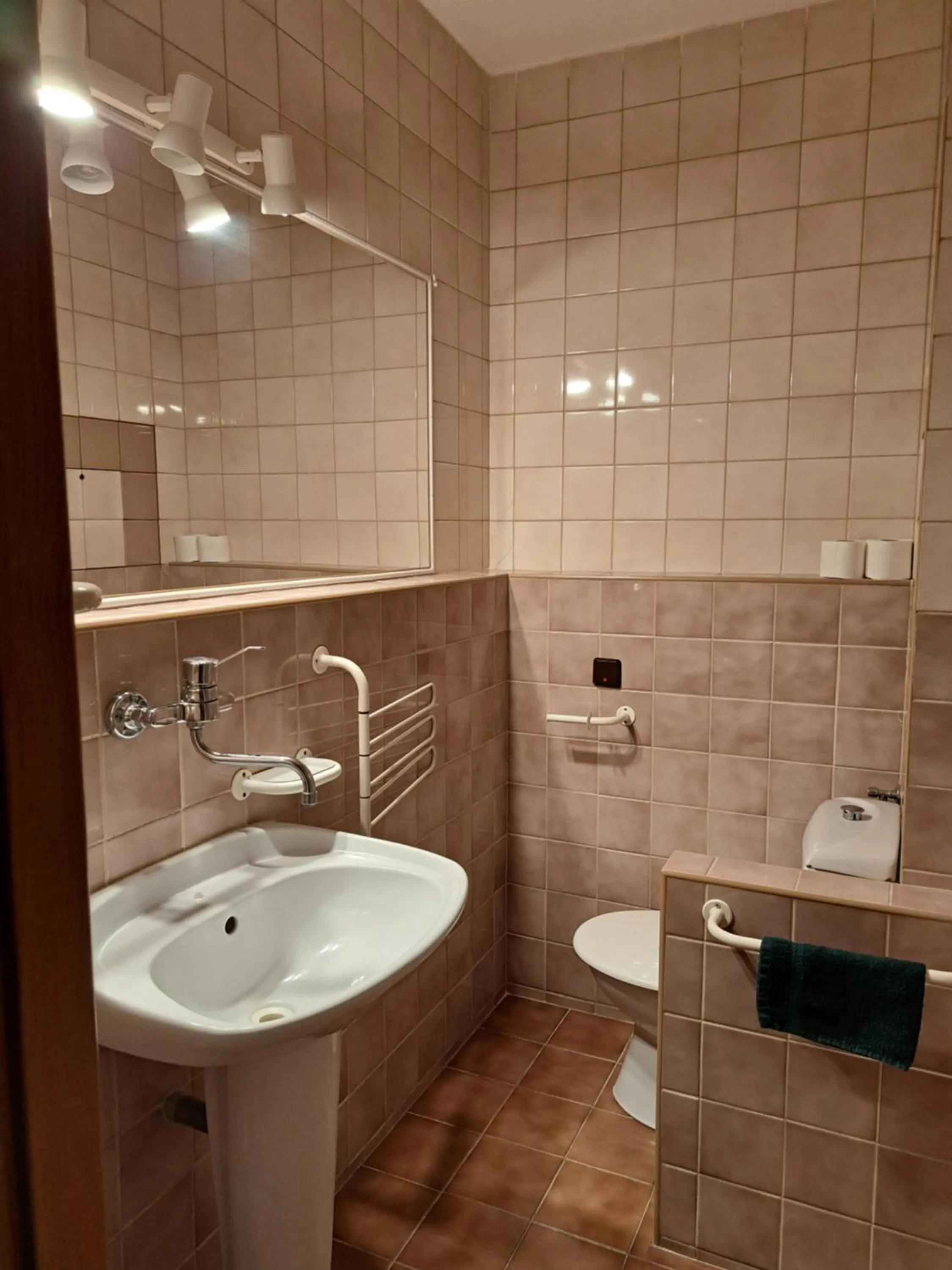 Shower in Hotel Milotel