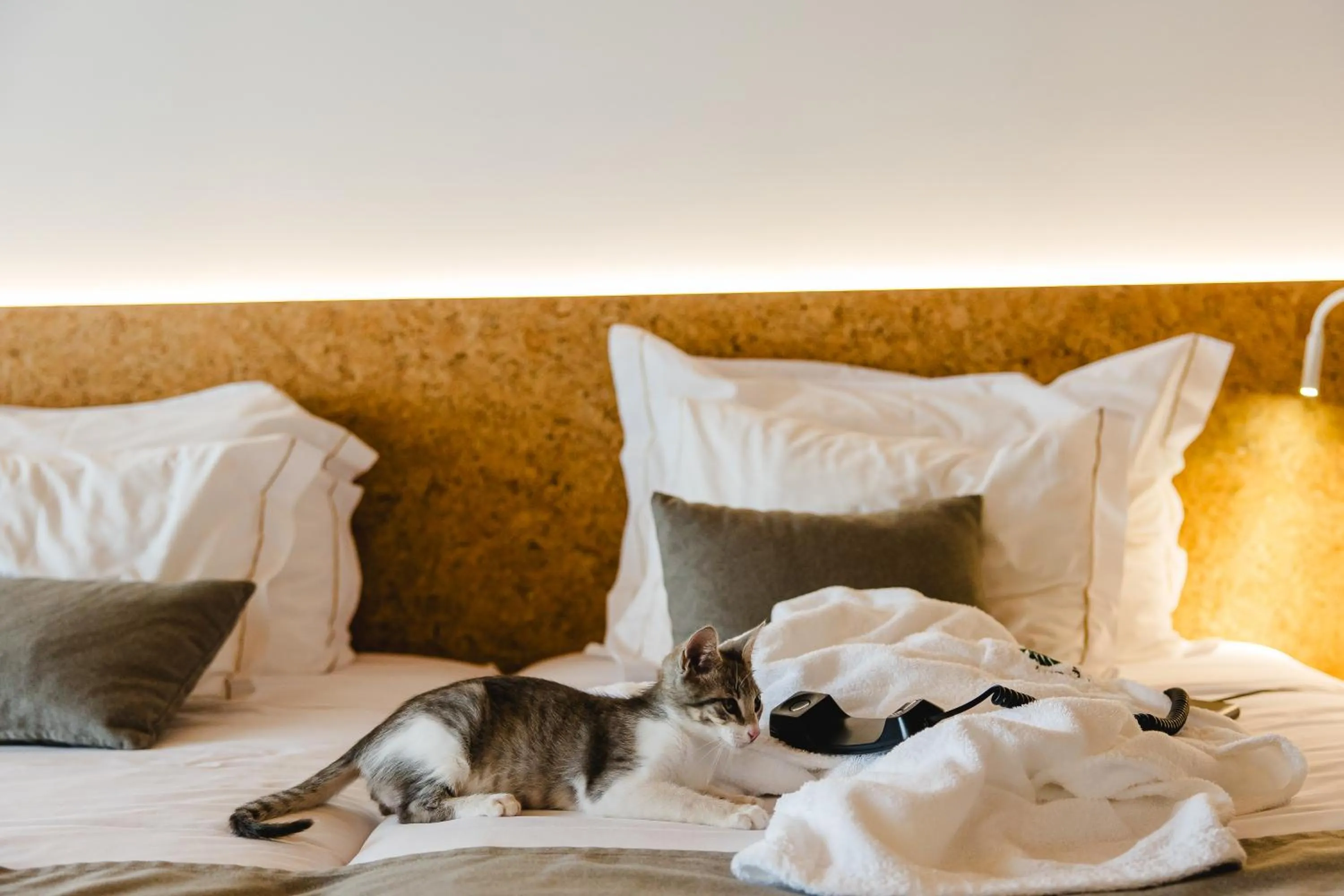 Animals, Bed in Canadiano Urban Nature Hotel