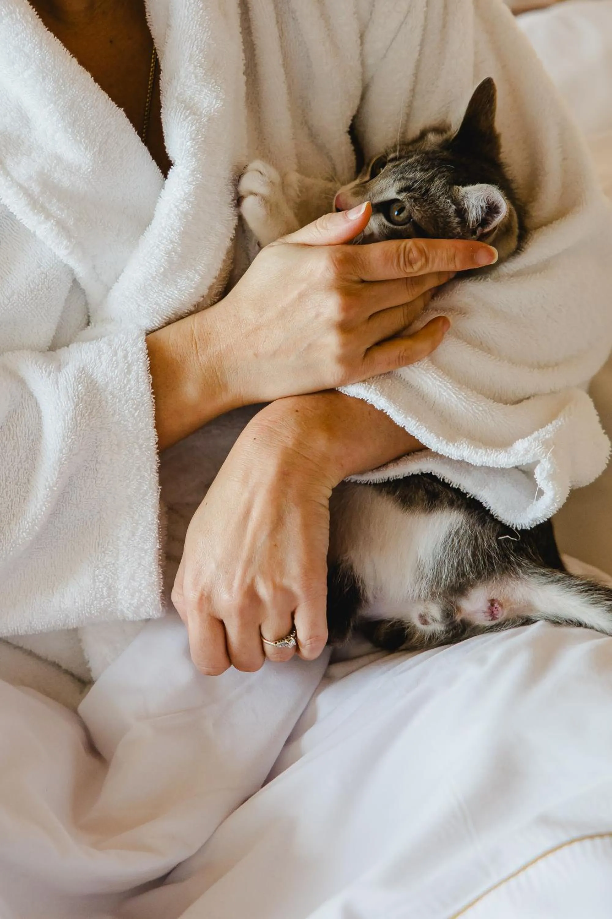 pet friendly in Canadiano Urban Nature Hotel