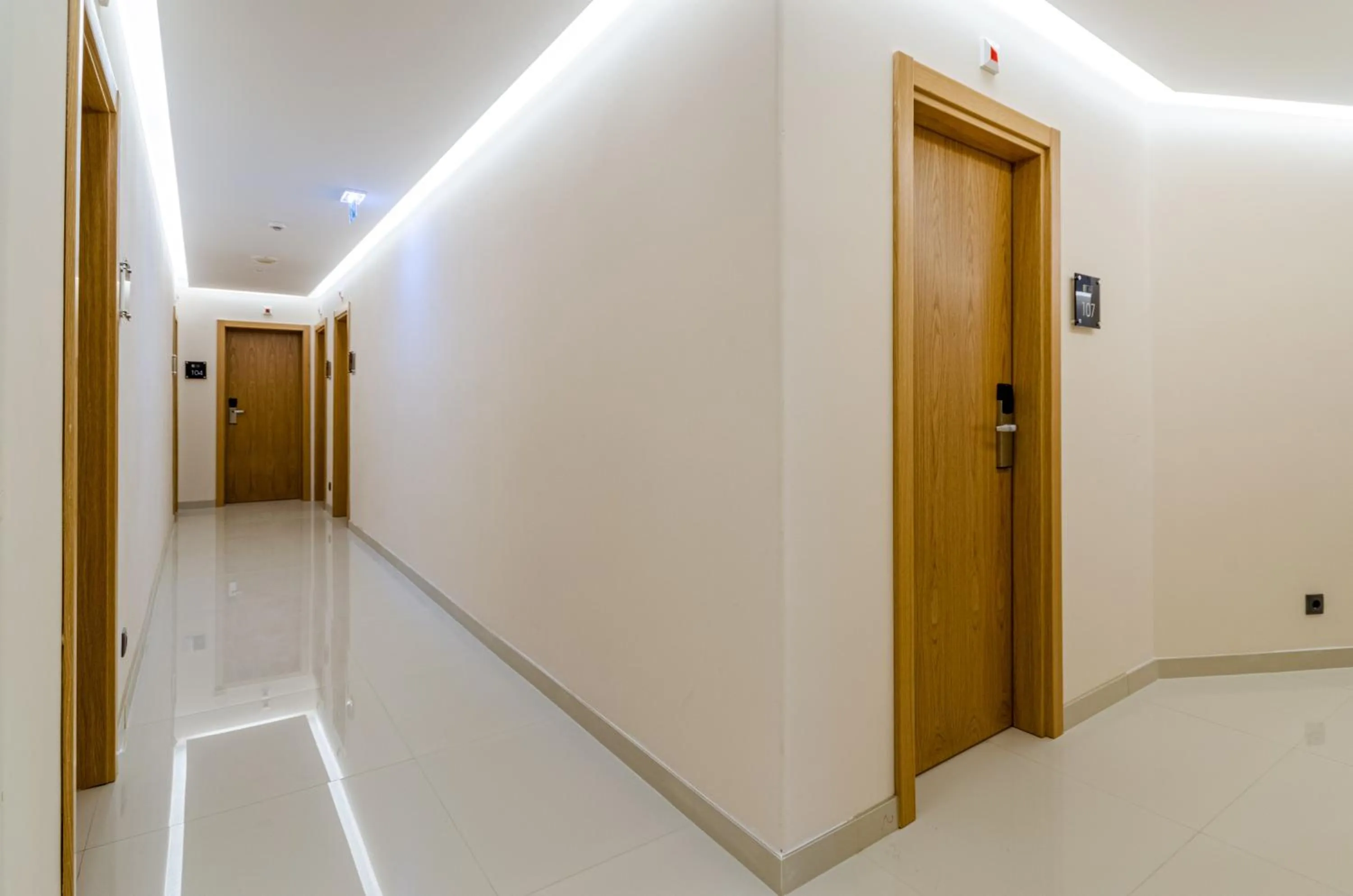 Property building in Hotel Avenida Park