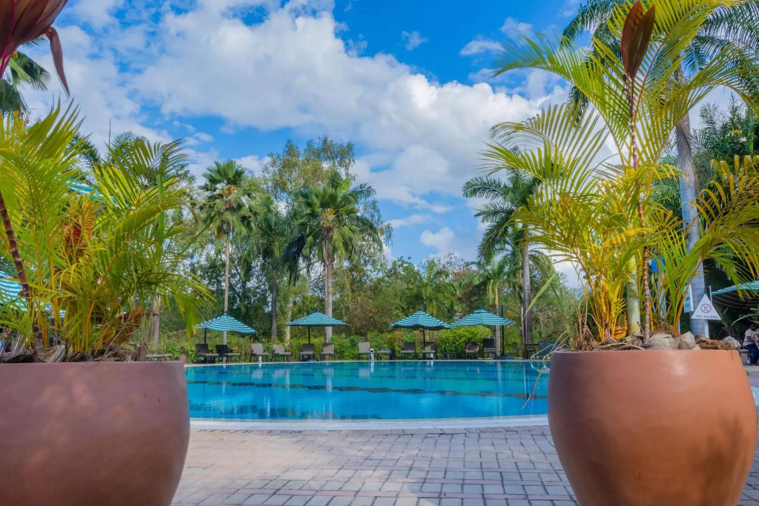 Swimming pool in Dar es Salaam Serena Hotel Swimming pool in Dar es Salaam Serena Hotel