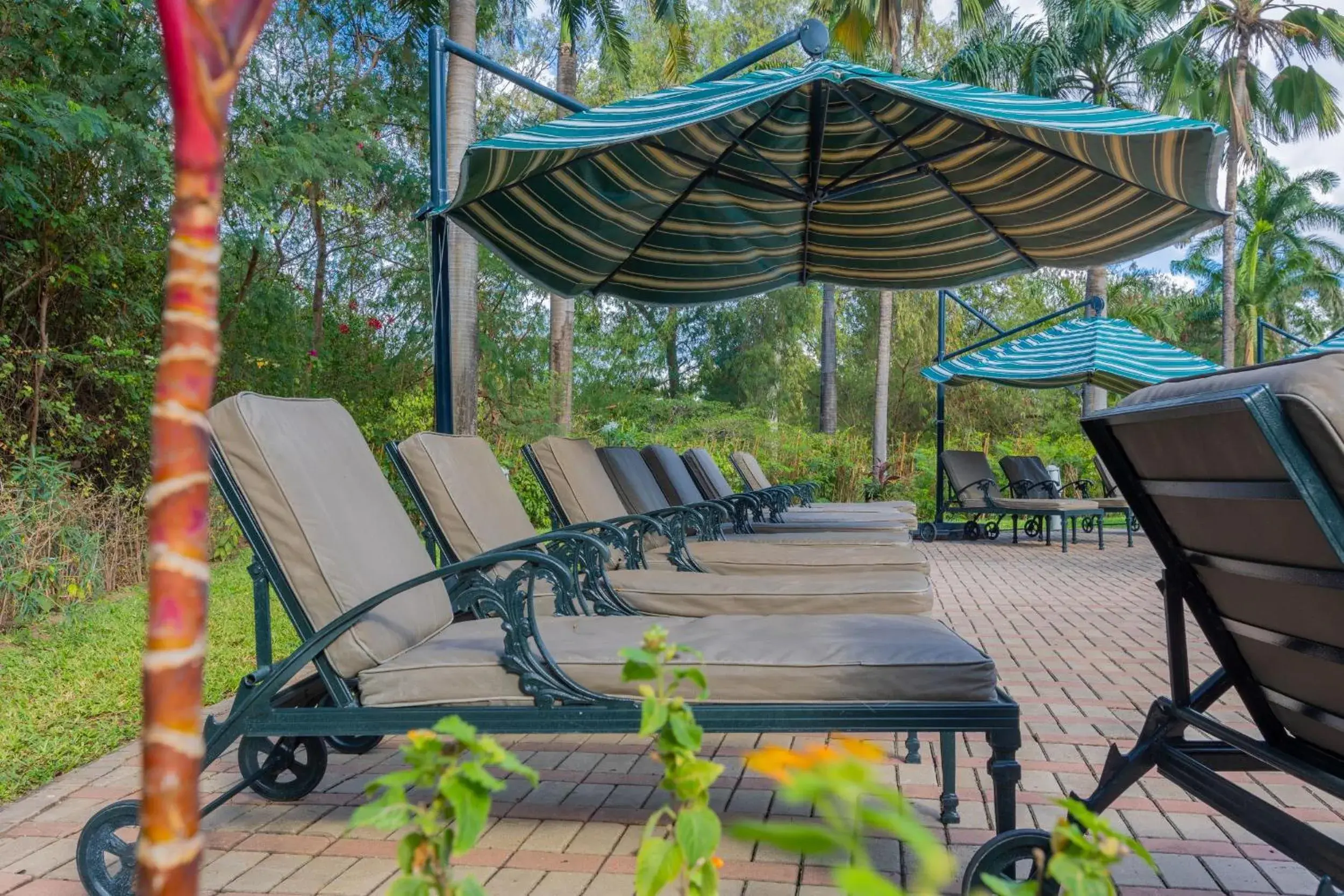 Swimming pool in Dar es Salaam Serena Hotel Swimming pool in Dar es Salaam Serena Hotel