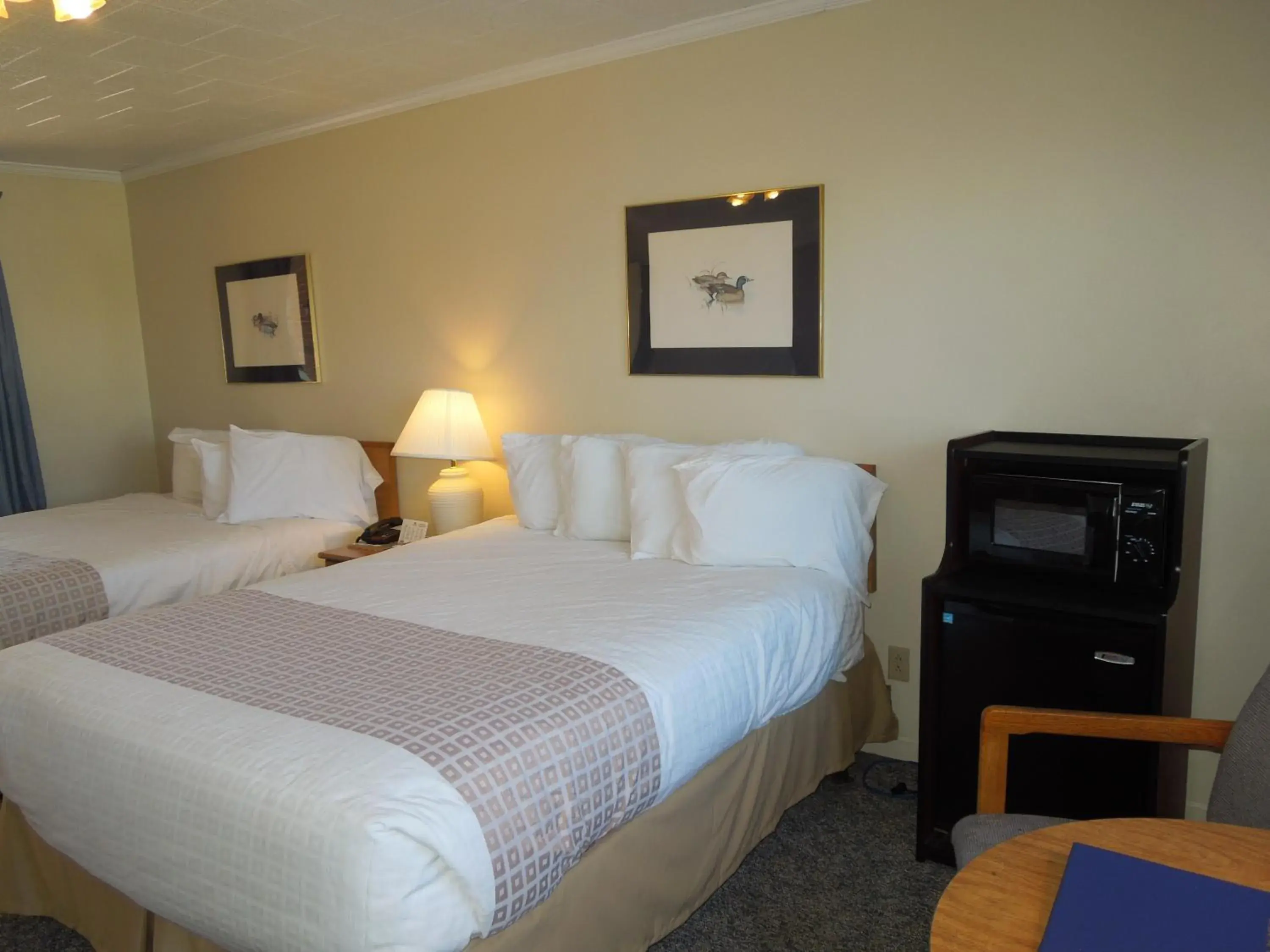 Photo of the whole room in Arlington Inn Photo of the whole room in Arlington Inn