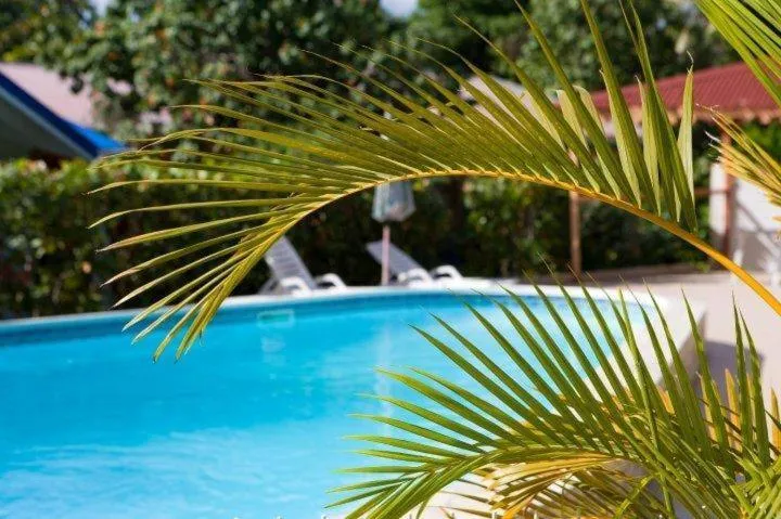 Pool view in Hotel Le Rotabas