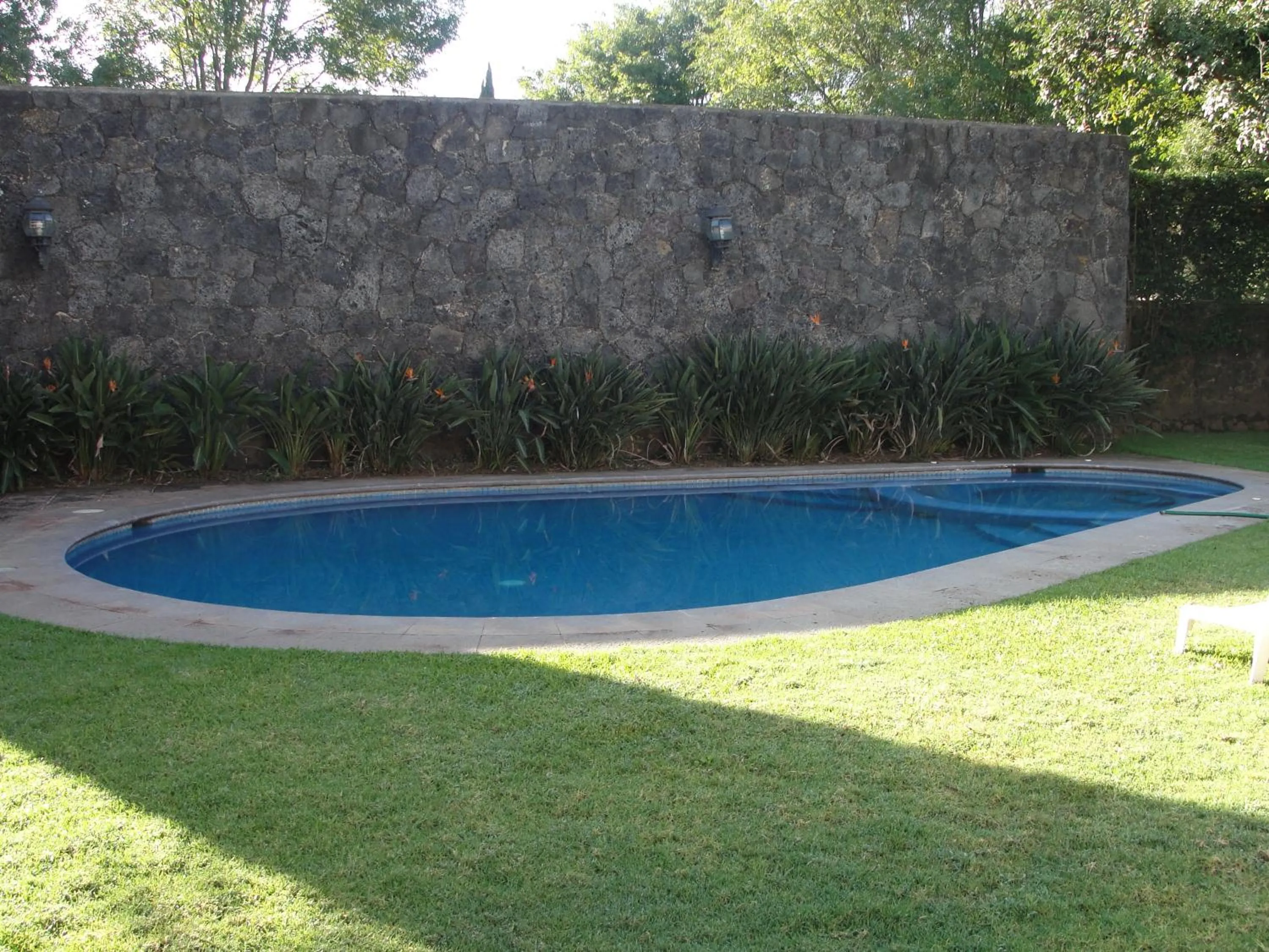 Day in Las Casitas Tepoztlán